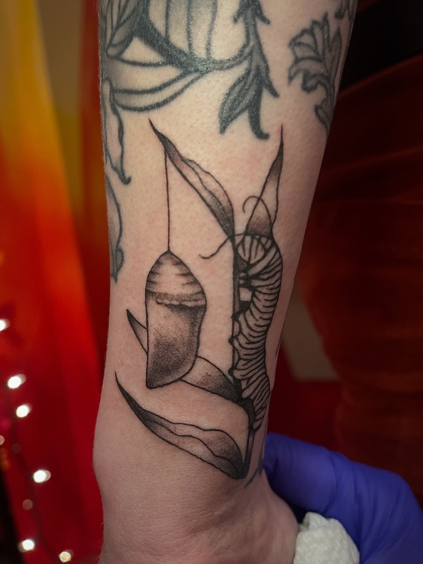 Mushroom black and grey tattoo on the forearm by Zoe Phan, Richmond, Virginia