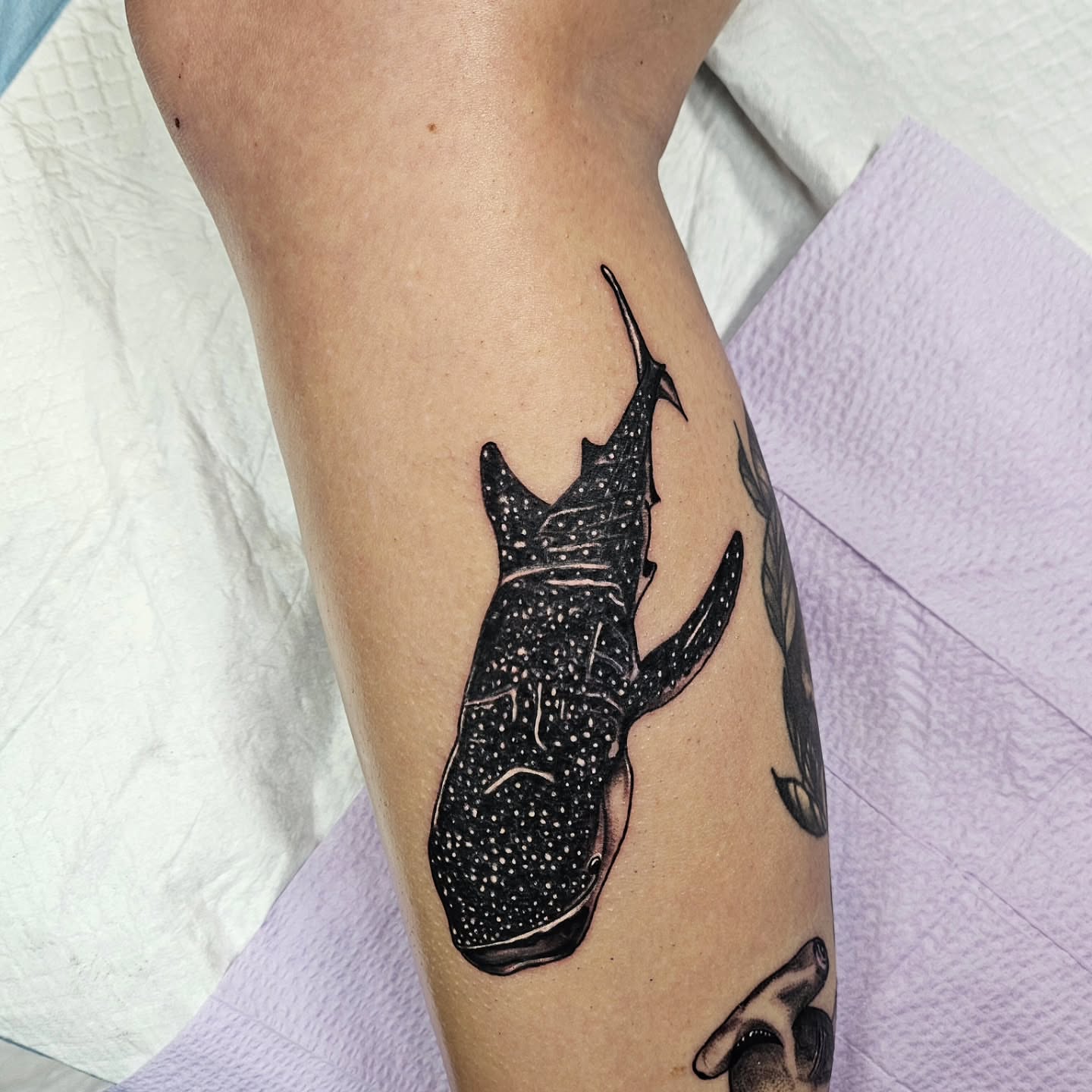 Whale shark dotwork tattoo on the forearm by Kelsey Moore, Richmond, Virginia