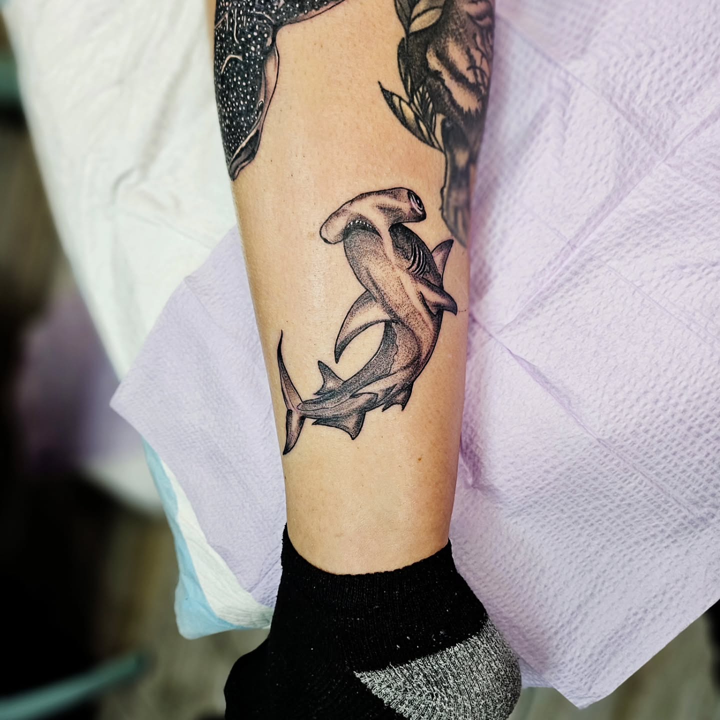 Shark black and grey tattoo on the forearm by Kelsey Moore, Richmond, Virginia