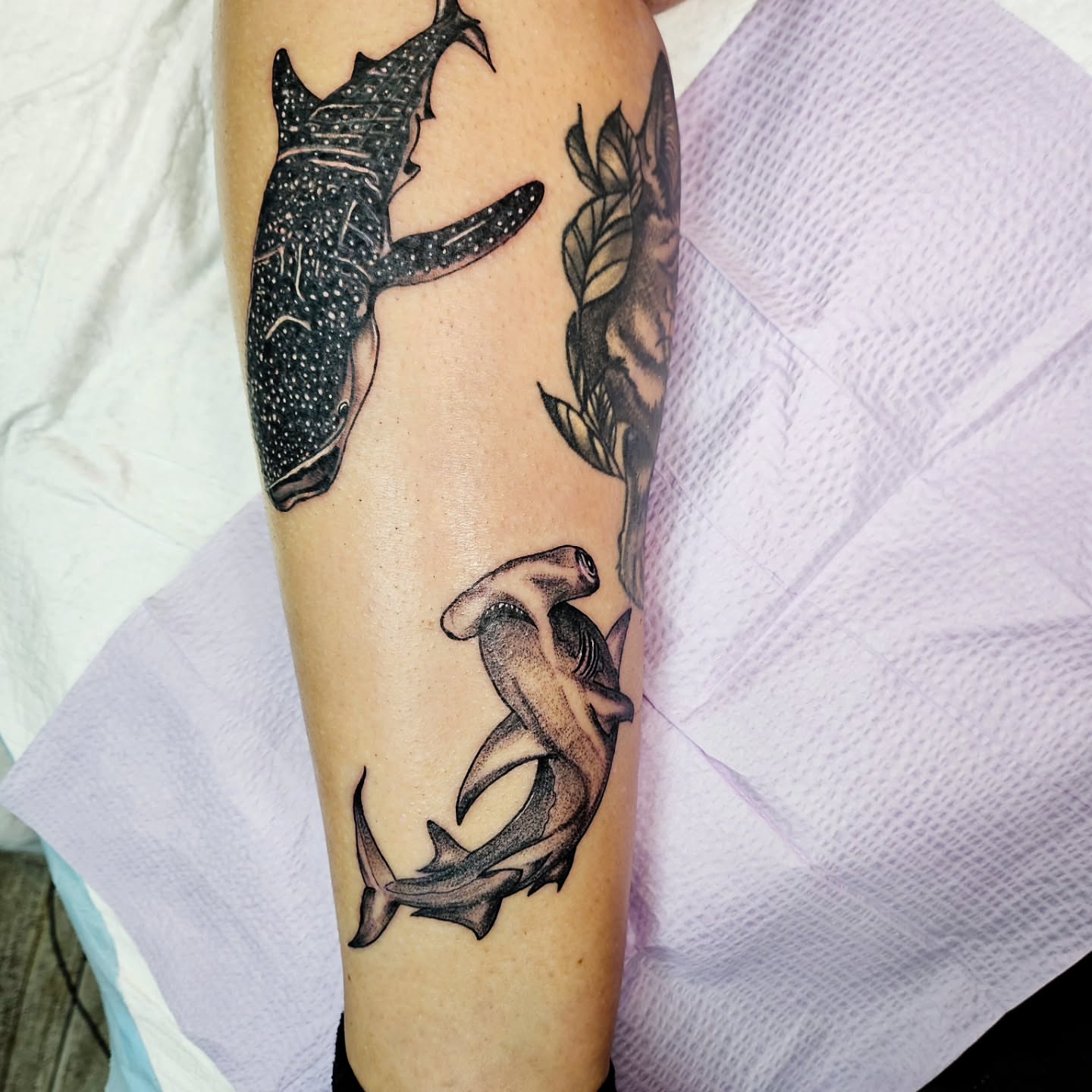 Sharks dotwork tattoo on the forearm by Kelsey Moore, Richmond, Virginia