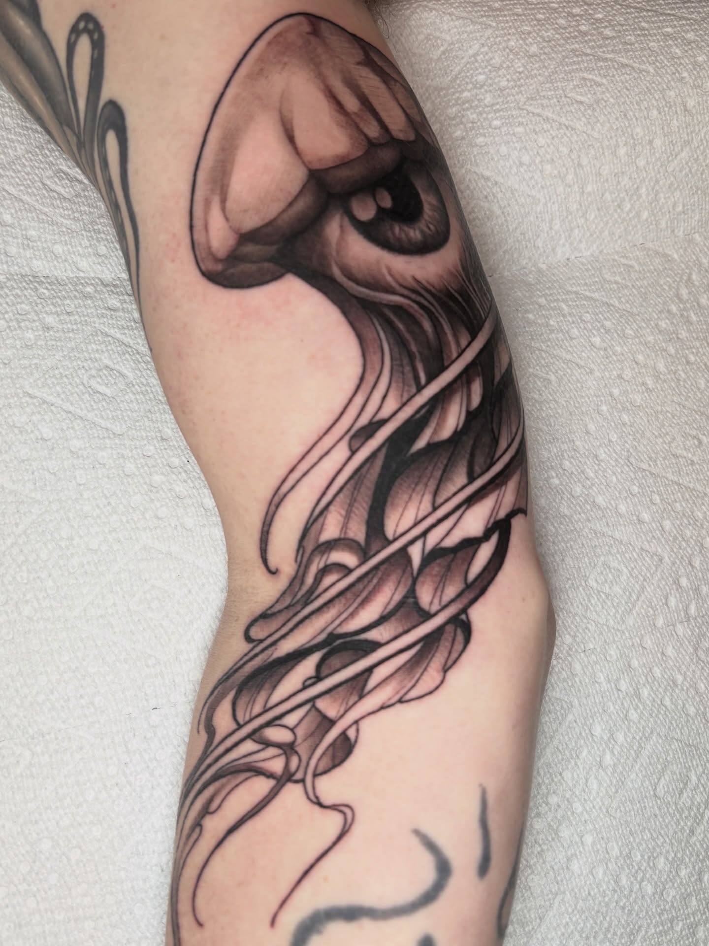 Eye and flame realism tattoo on the forearm by Tony Lucero, Wheat Ridge, Colorado