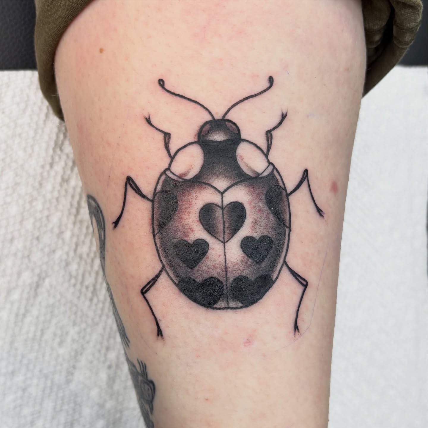 Ladybug black and grey tattoo on the thigh by Jordan Wray