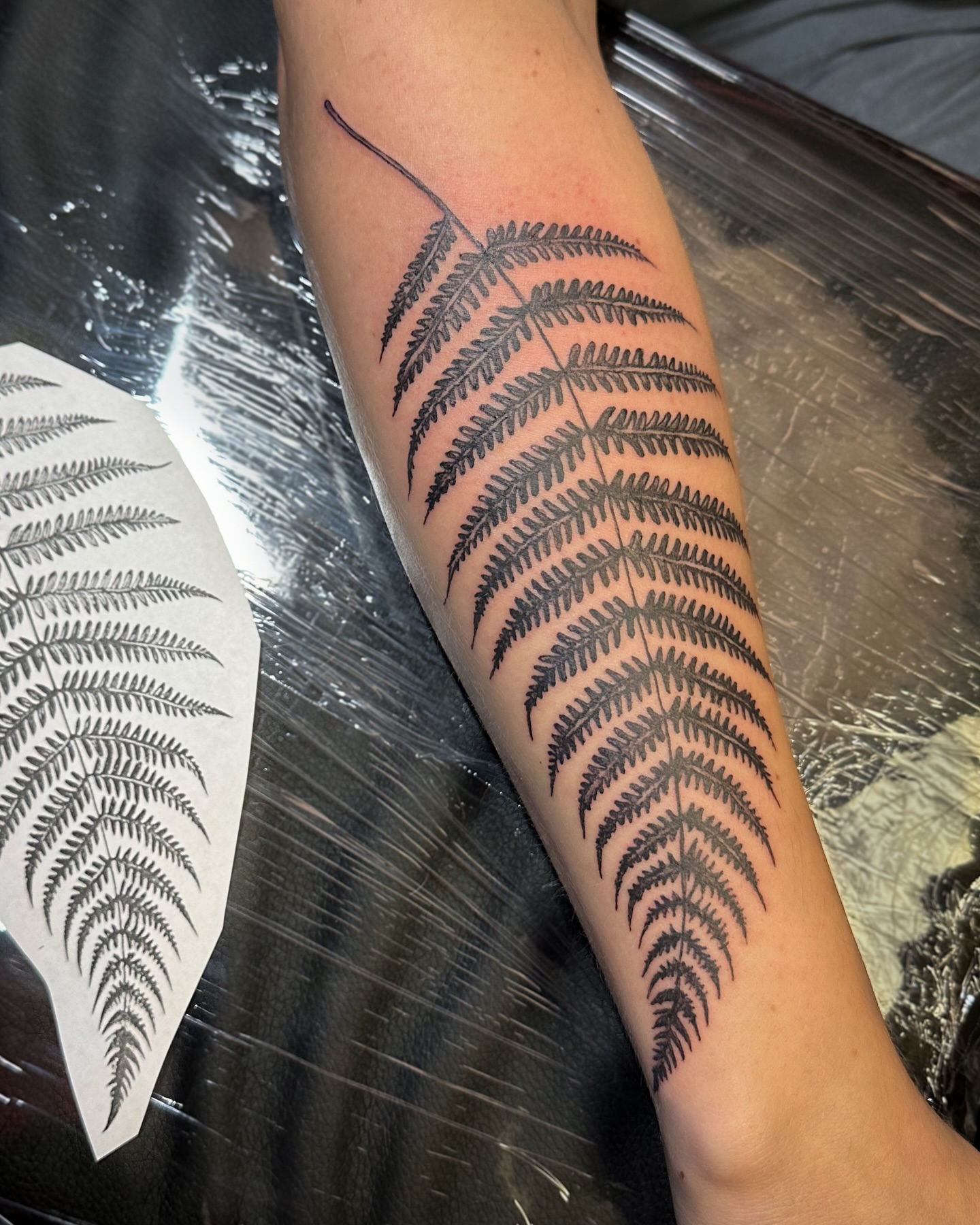 Fern black and grey tattoo on the forearm by π·πππ, Cleveland, Ohio