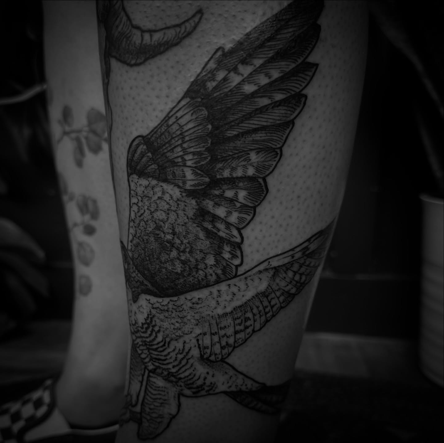 Bird realism tattoo on the forearm by Desireé Keys, Midvale, Utah