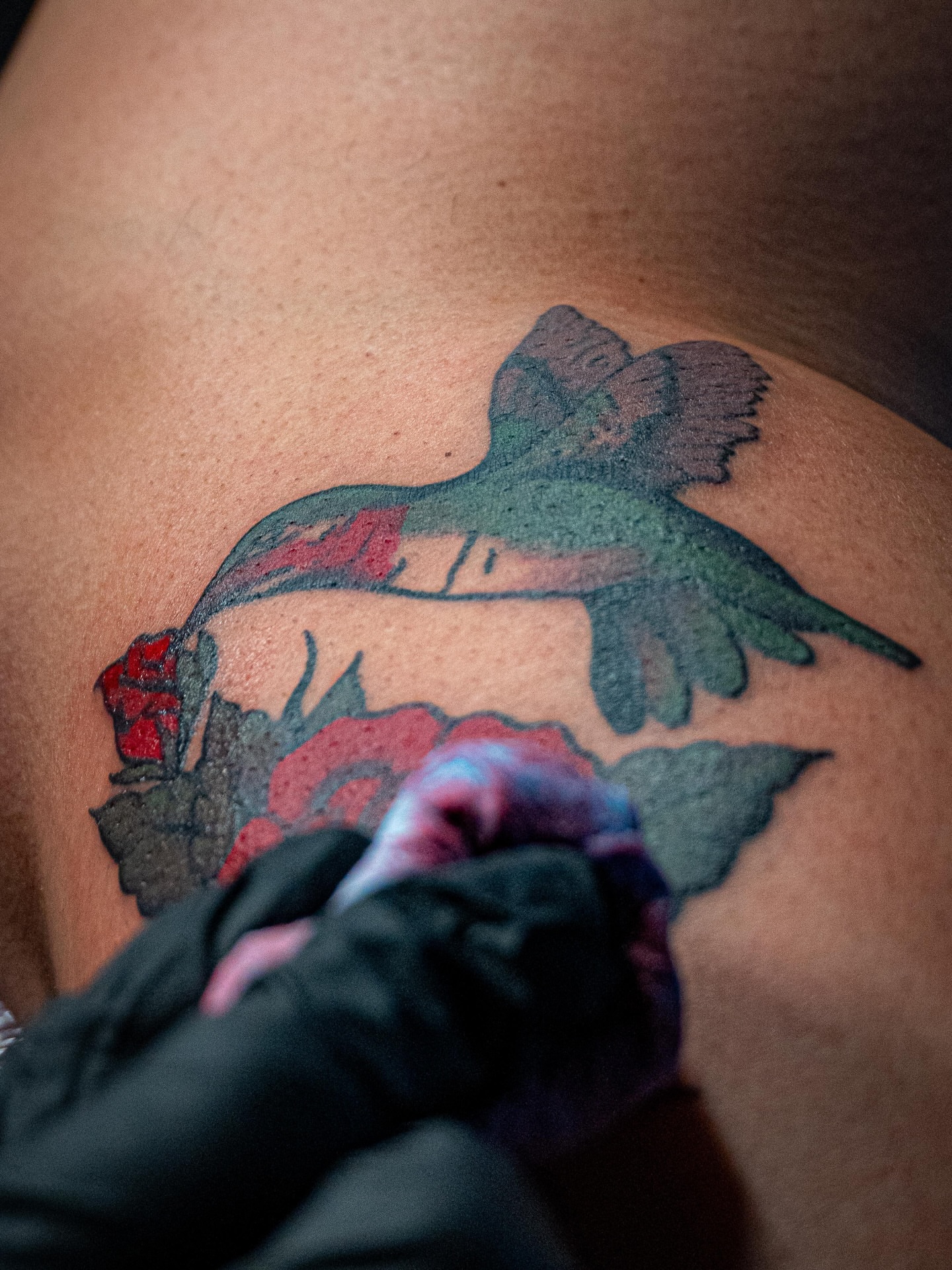 Tattoo by @katebehr_tattoo β american_traditional