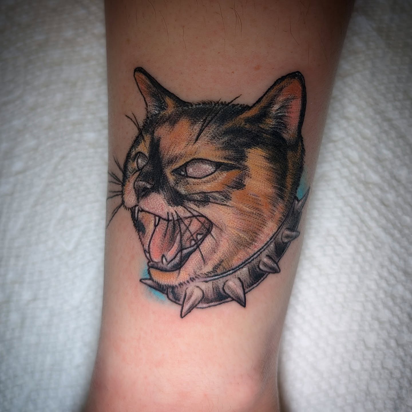Cat realism tattoo on the forearm by Will Alexander, Lombard, Illinois