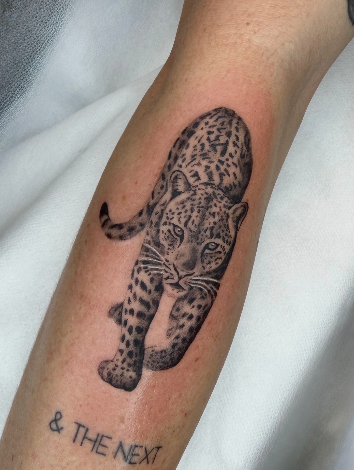 Leopard black and grey tattoo on the forearm by Red