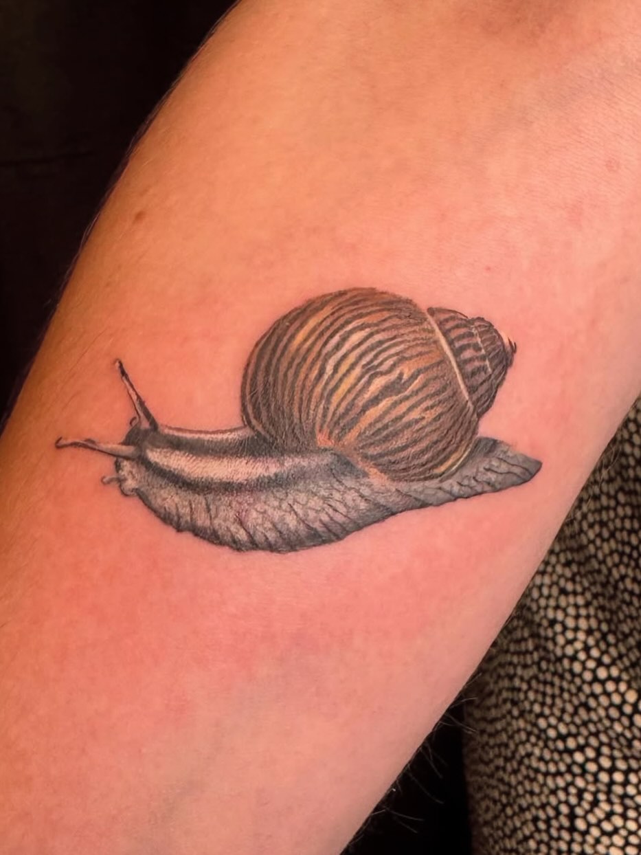 Snail realism tattoo on the forearm by Enda 🧚🏻‍♀️