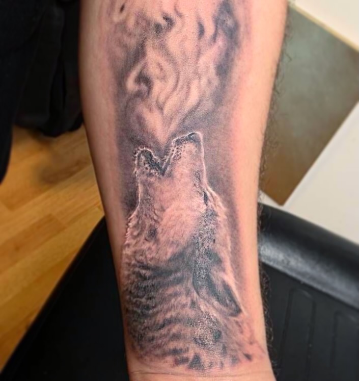 Wolf howling realism tattoo on the forearm by Ride The Needle Tattoos, New Britain, Connecticut