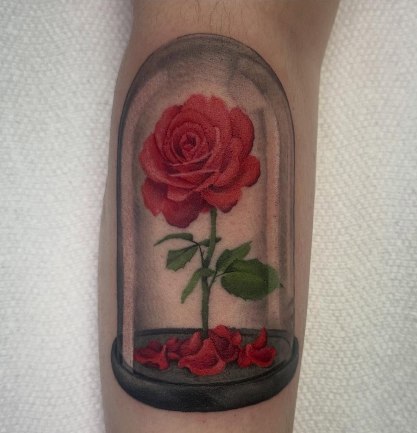 Red rose in glass dome realism tattoo on the forearm by Victoria Parsons, Clarksville, Indiana