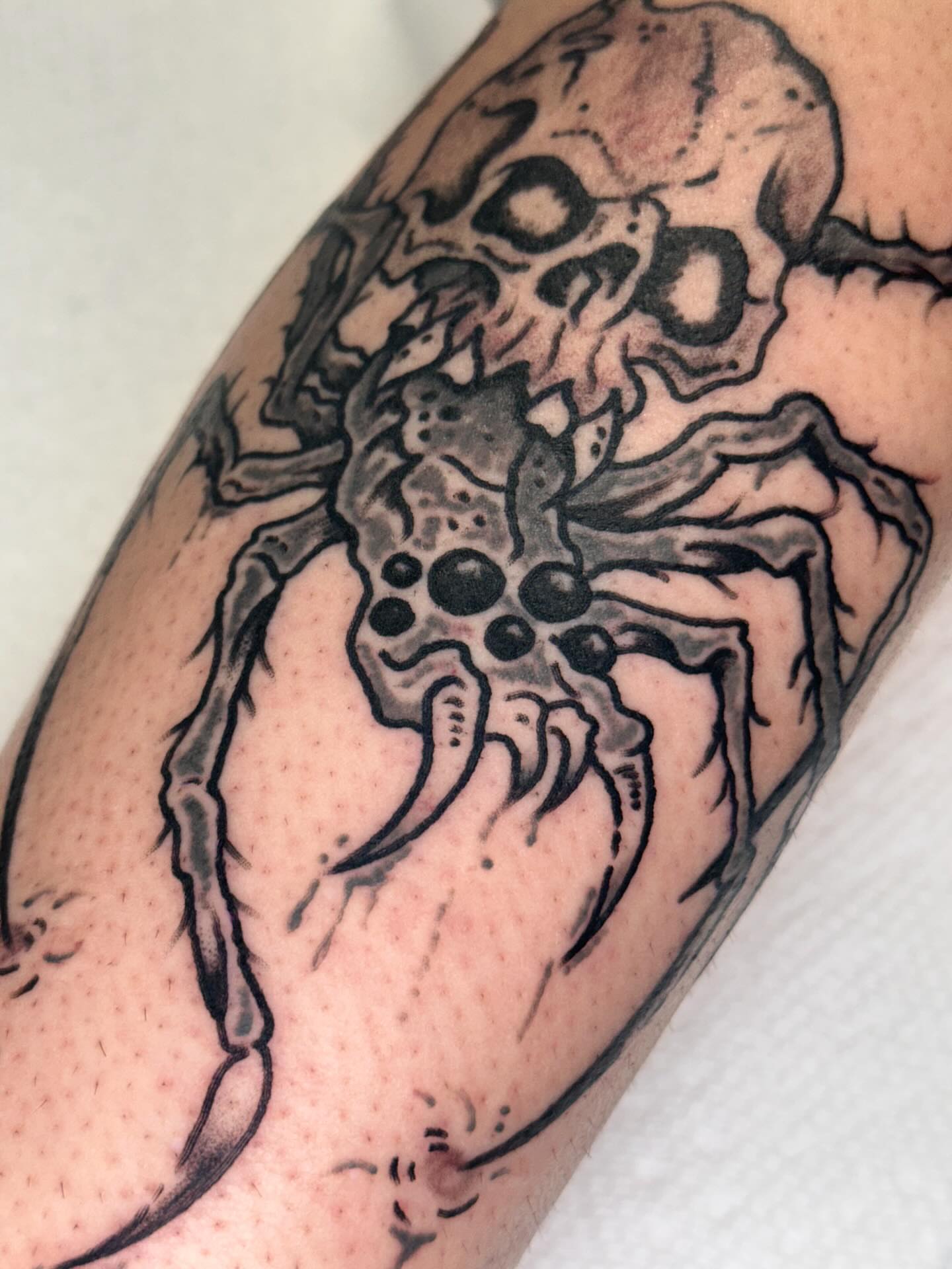 Skull and spider realism tattoo on the forearm by Olive Kelley