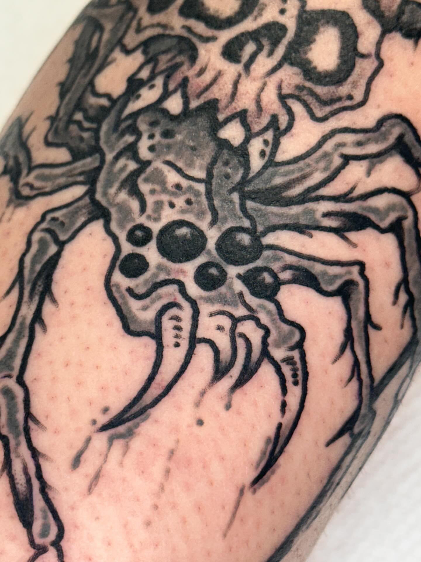 Spider black and grey tattoo on the forearm by Olive Kelley