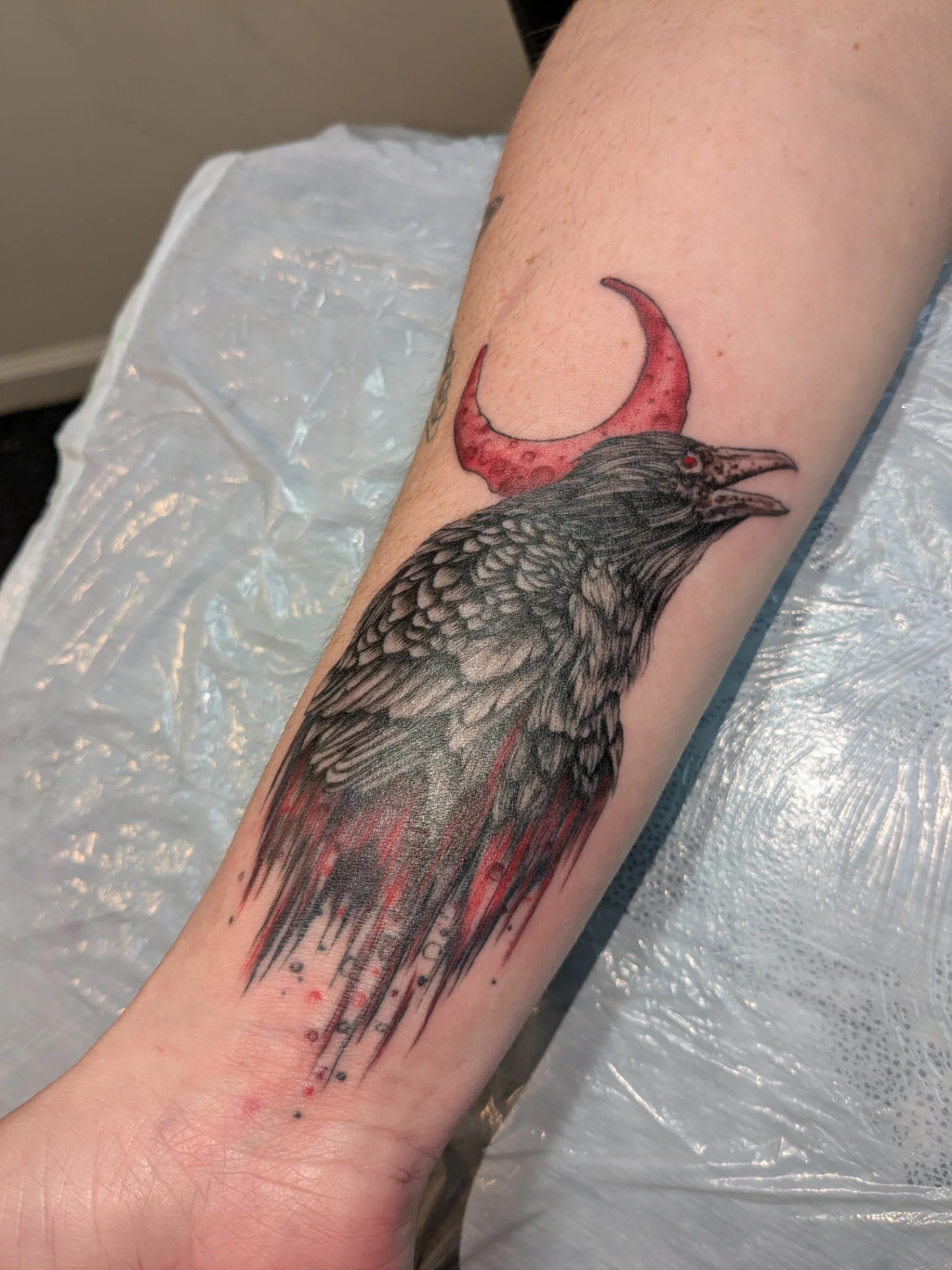 Crow with crescent moon realism tattoo on the forearm by Jessica Thomas Fleischman, Morganton, North Carolina