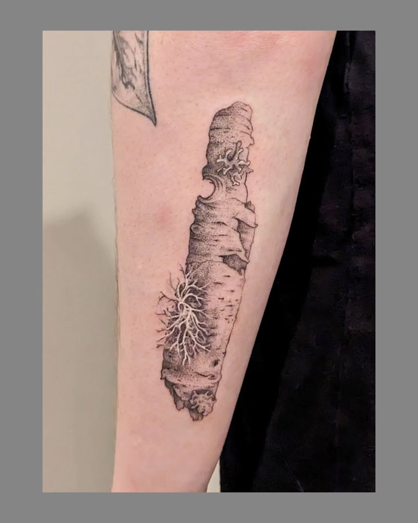 Knife with roots dotwork tattoo on the forearm by Marria