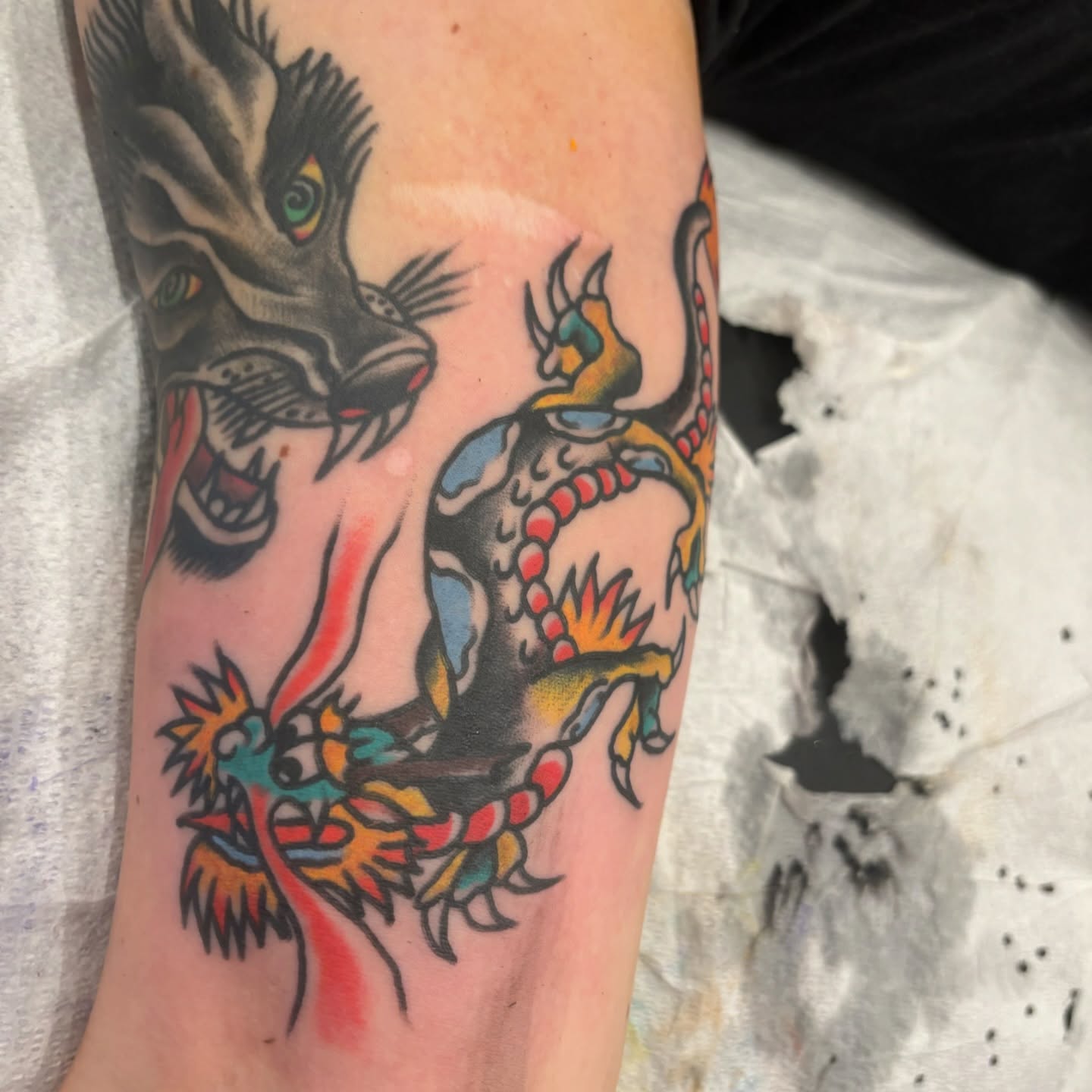 Lion and snake American traditional tattoo on the forearm by Francis Cassidy