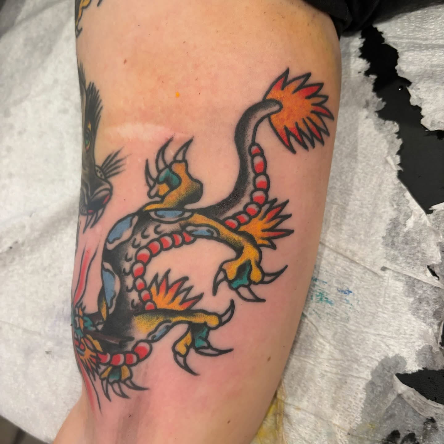Dragon American traditional tattoo on the forearm by Francis Cassidy