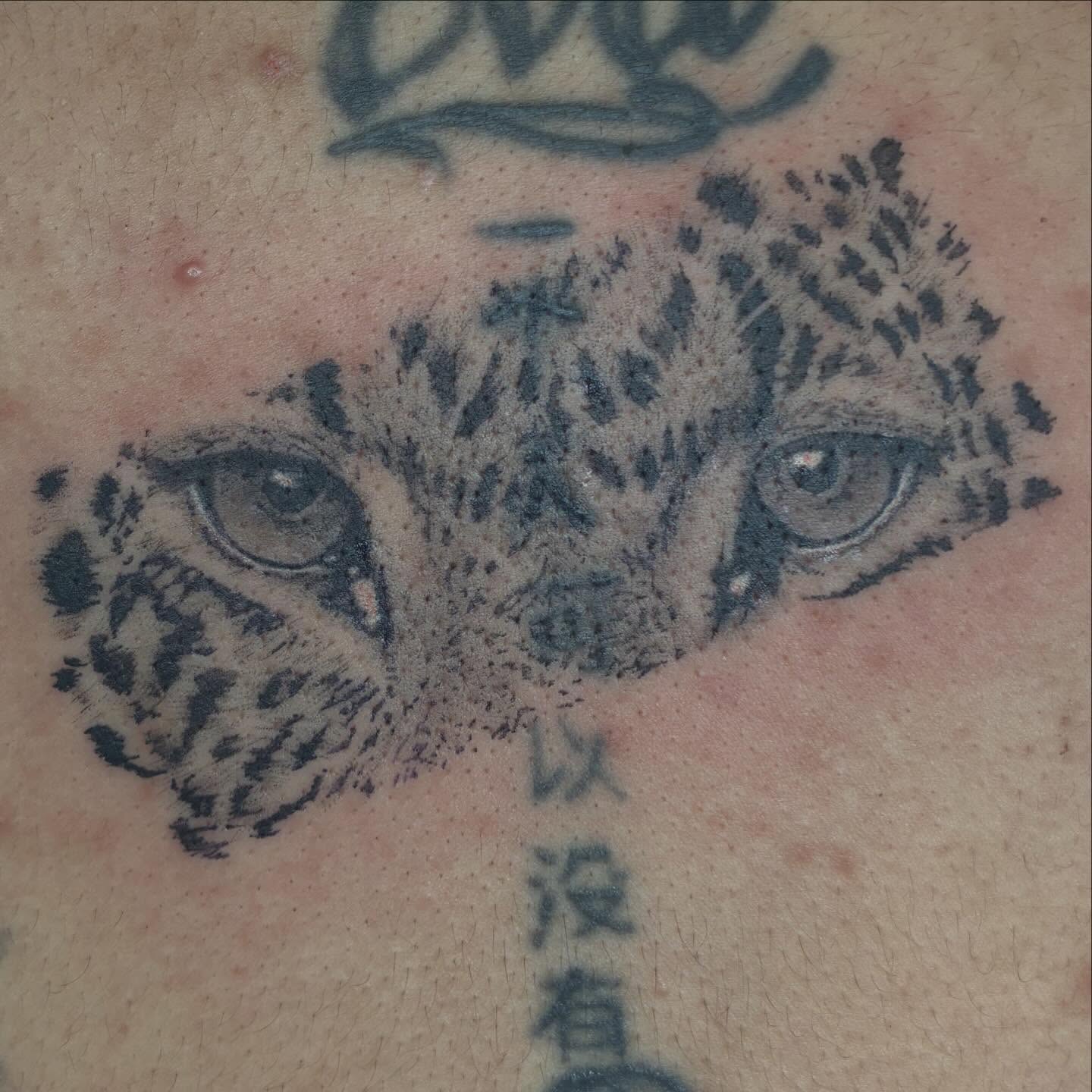 Snow leopard realism tattoo on the chest by Kat π