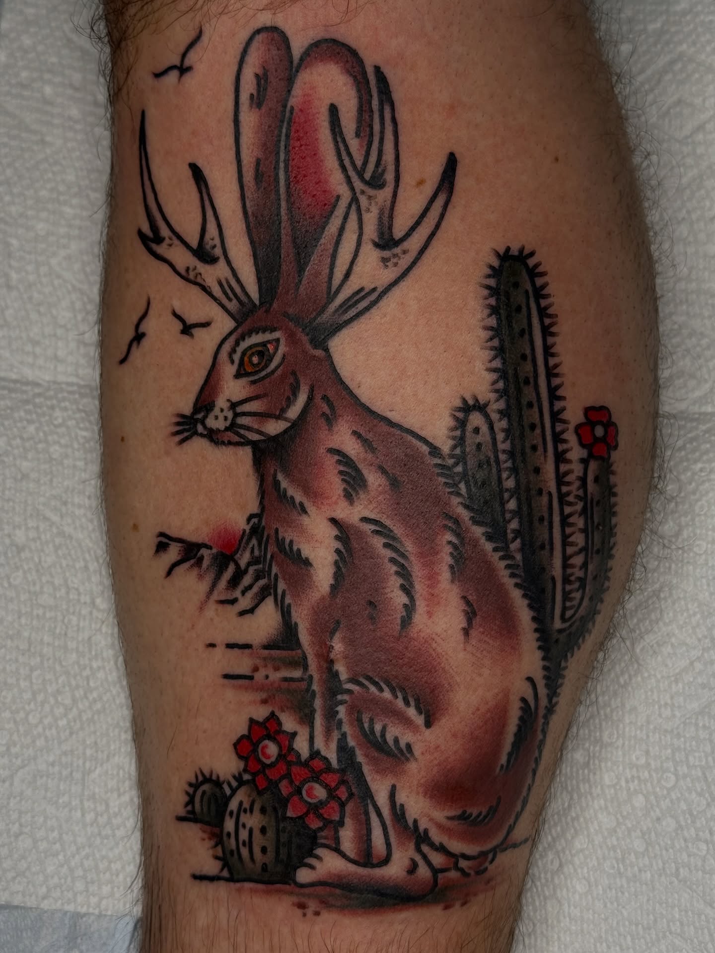 Hare with cactus American traditional tattoo on the forearm by Clayton - TRADITIONAL TATTOOS