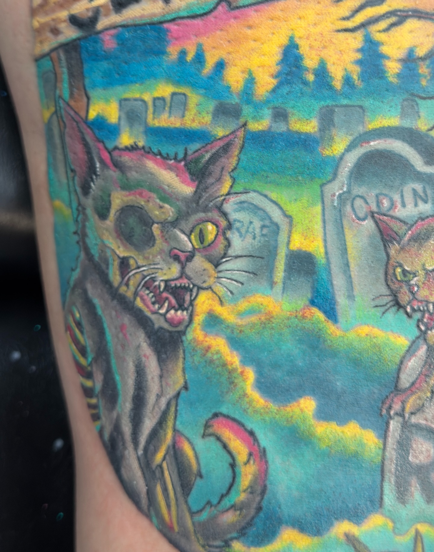 Angry cat American traditional tattoo on the forearm by Bryan Parsons