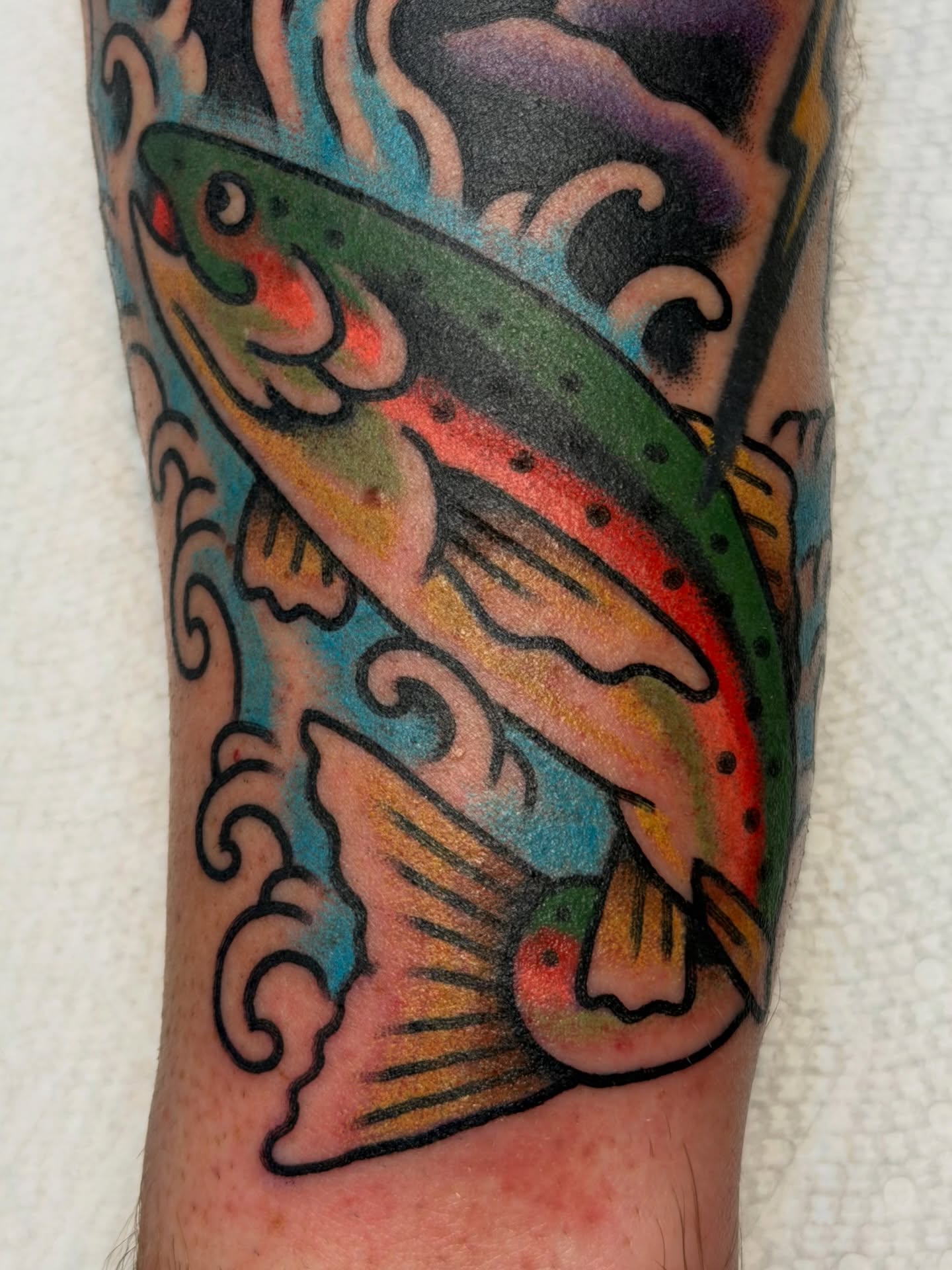 Rainbow trout American traditional tattoo on the forearm by 🌈KNOXVILLE’S FAVORITE TATTOO ARTIST 👽 마법 버섯