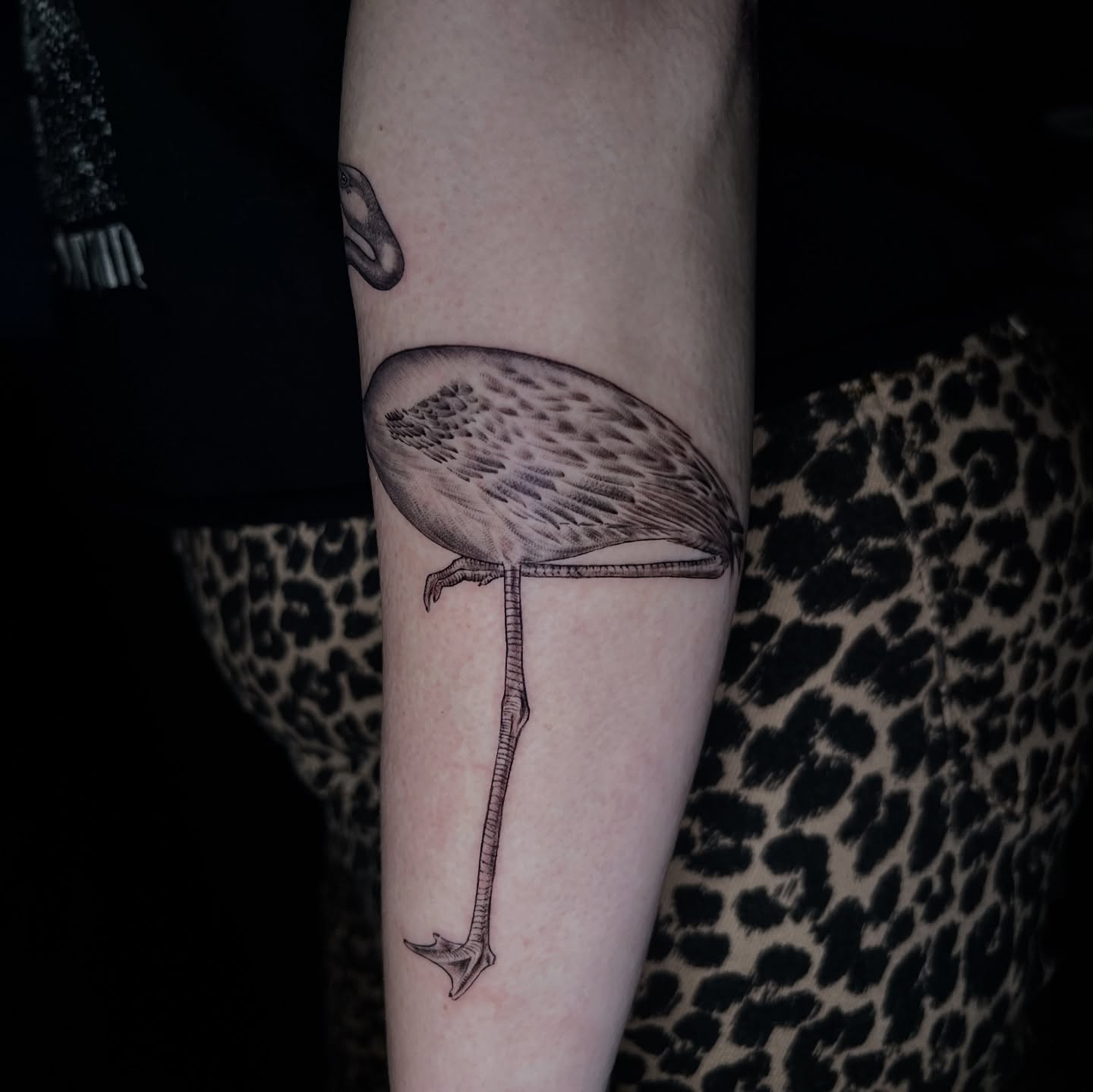 Flamingo black and grey tattoo on the forearm by Jen Rahman