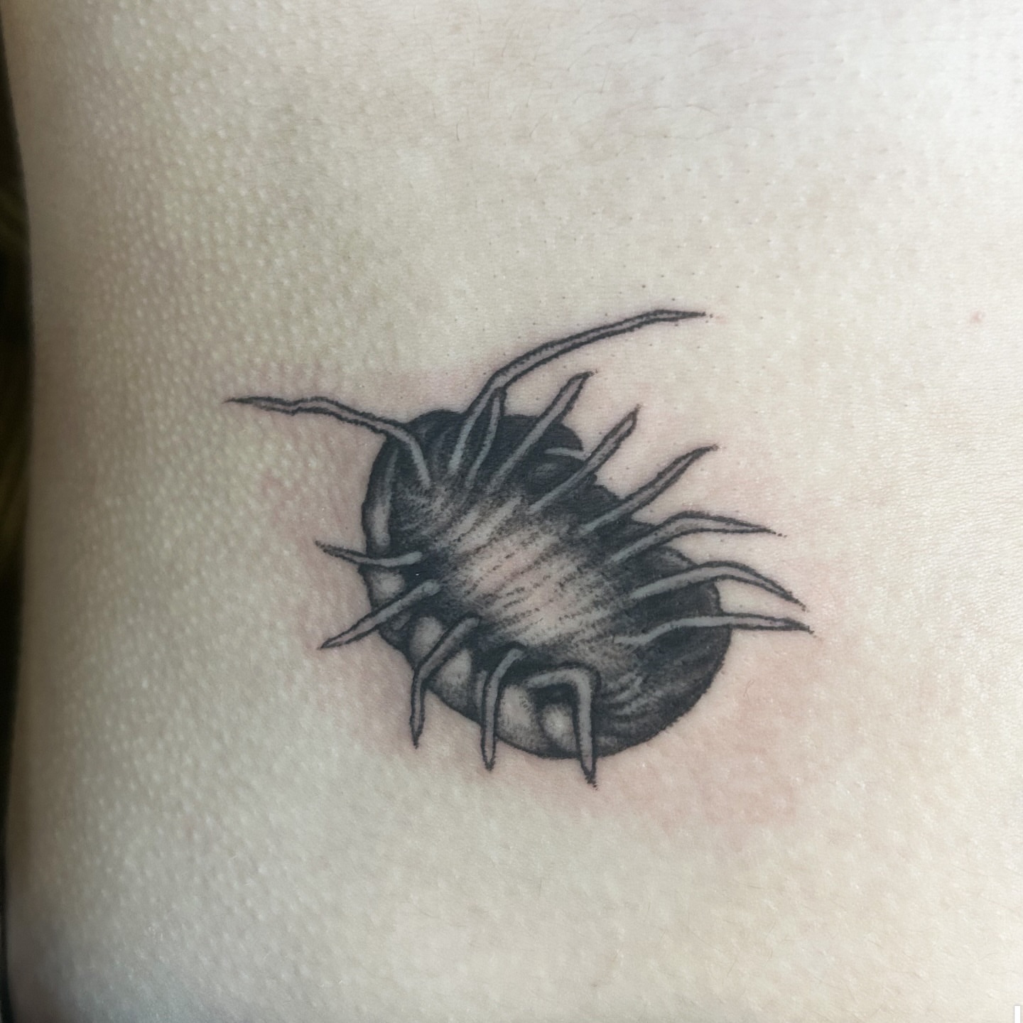 Tattoo by @furcoat444 β black_and_grey