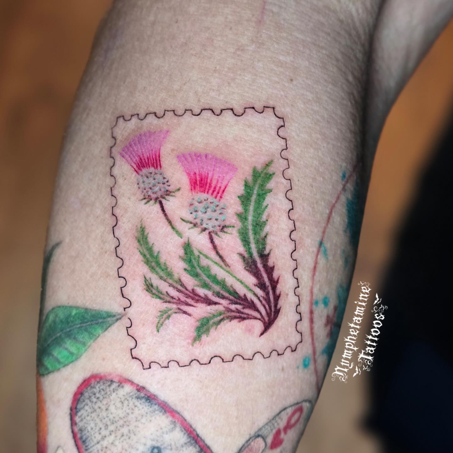 Thistle dotwork tattoo on the forearm by ๐ธ๐๐๐๐๐๐๐๐