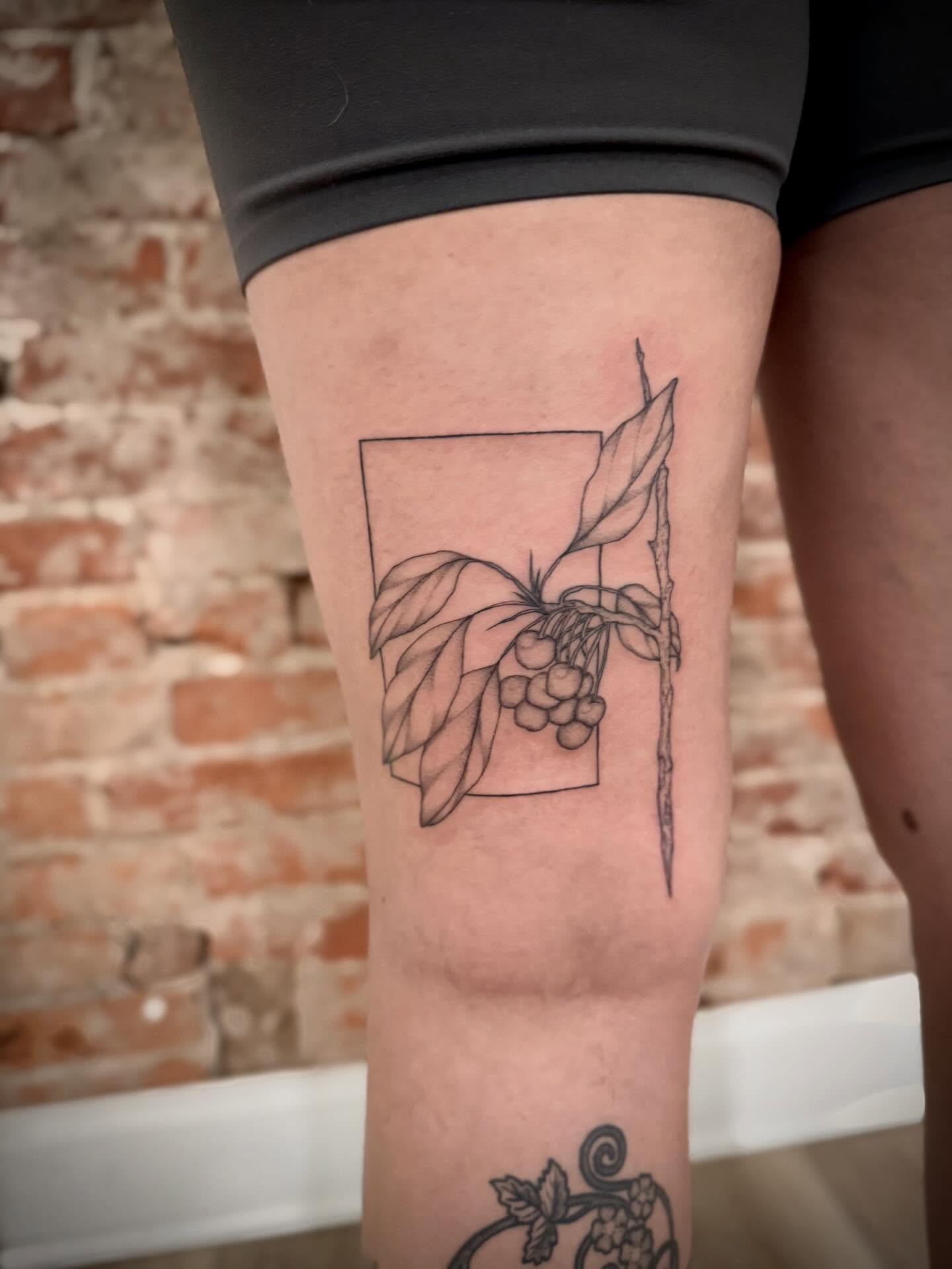 Coffee plant black and grey tattoo on the thigh by Daniel Anthony, Philadelphia, Pennsylvania