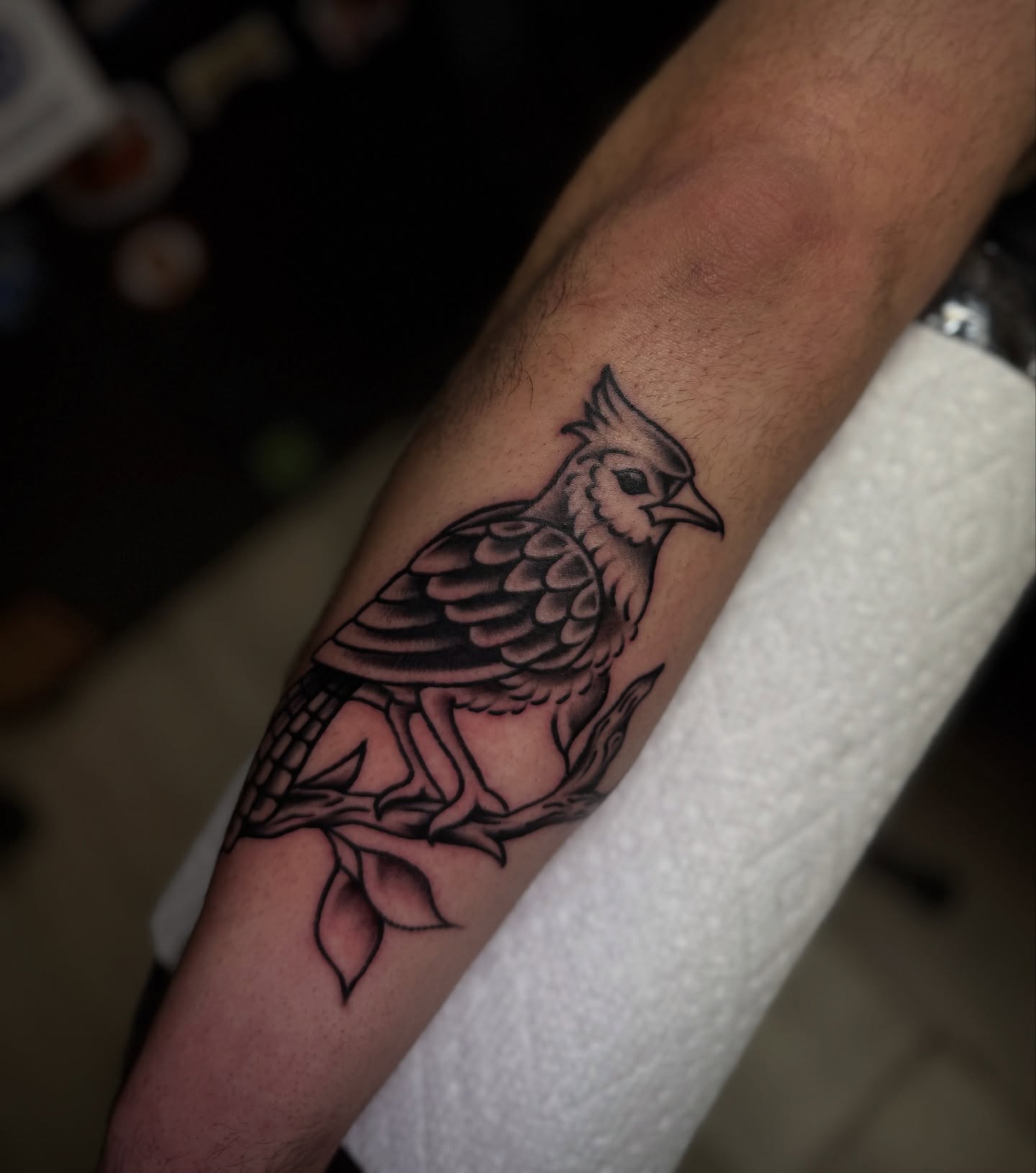 Bird black and grey tattoo on the forearm by Preston-NJ Tattoo Artist