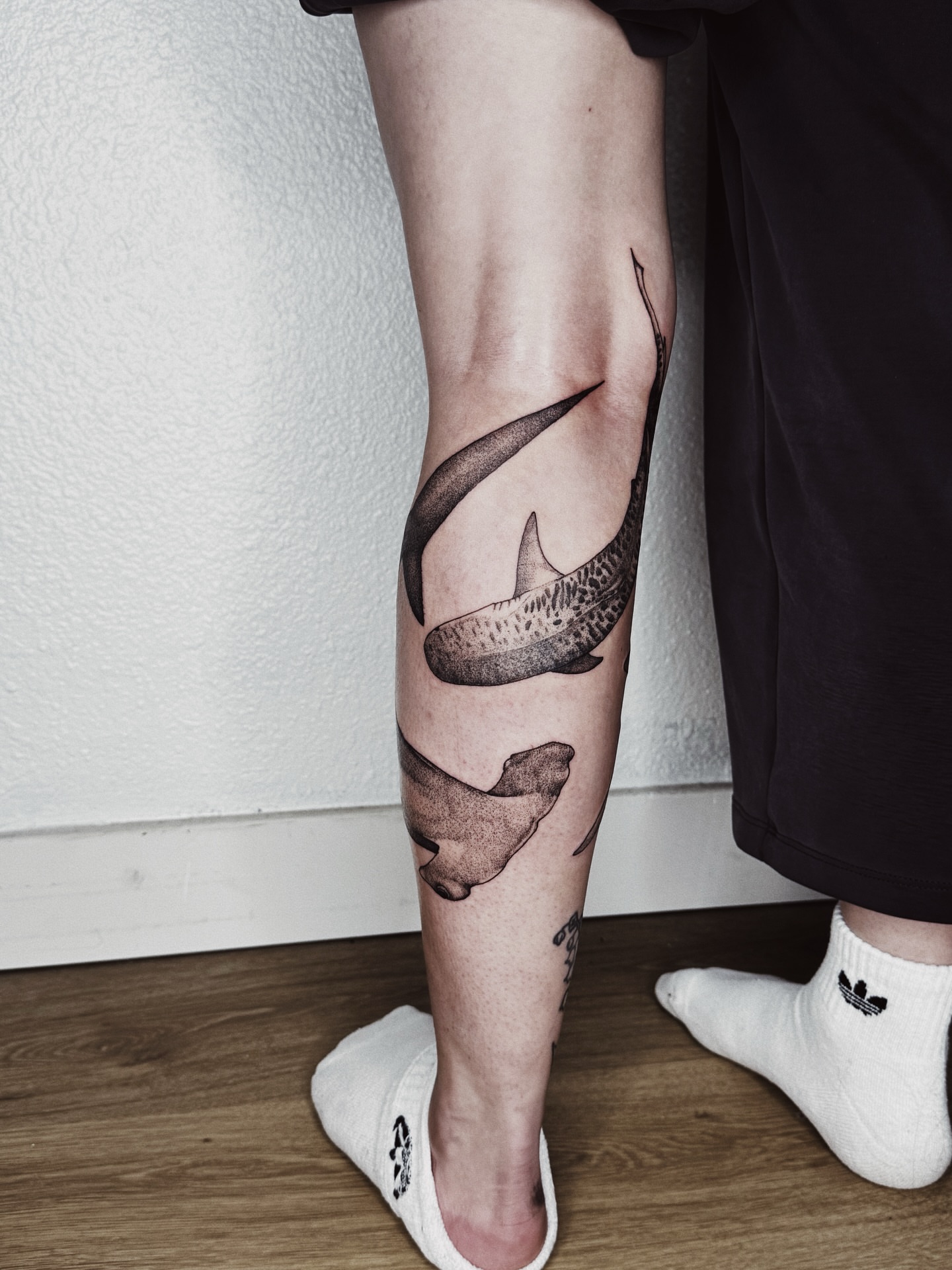 Shark and seal dotwork tattoo on the calf by πΉπ°π½πππ΄π½ πΆπ»π΄π½π½, North Logan, Utah