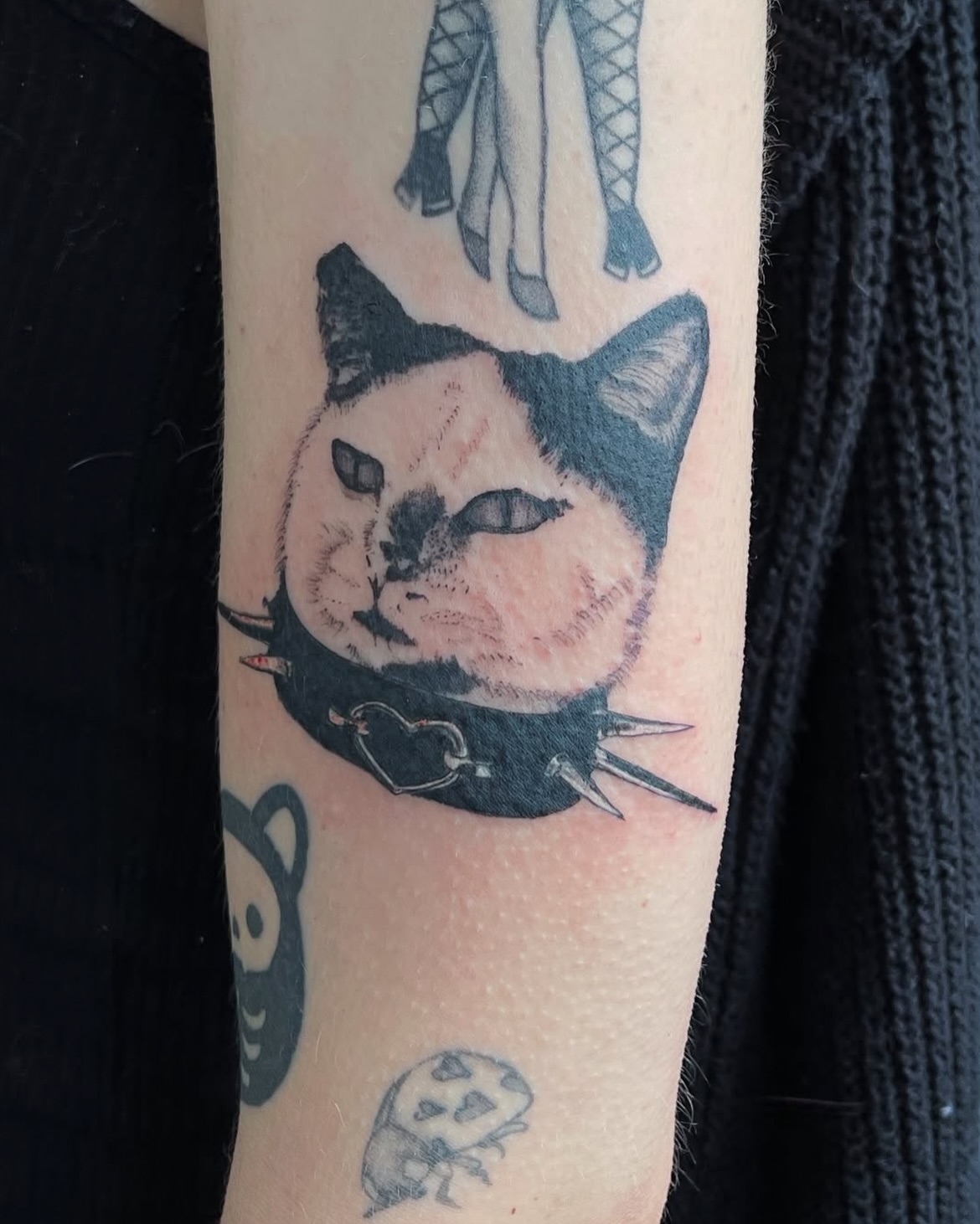 Cat black and grey tattoo on the forearm by Rachel Hanke
