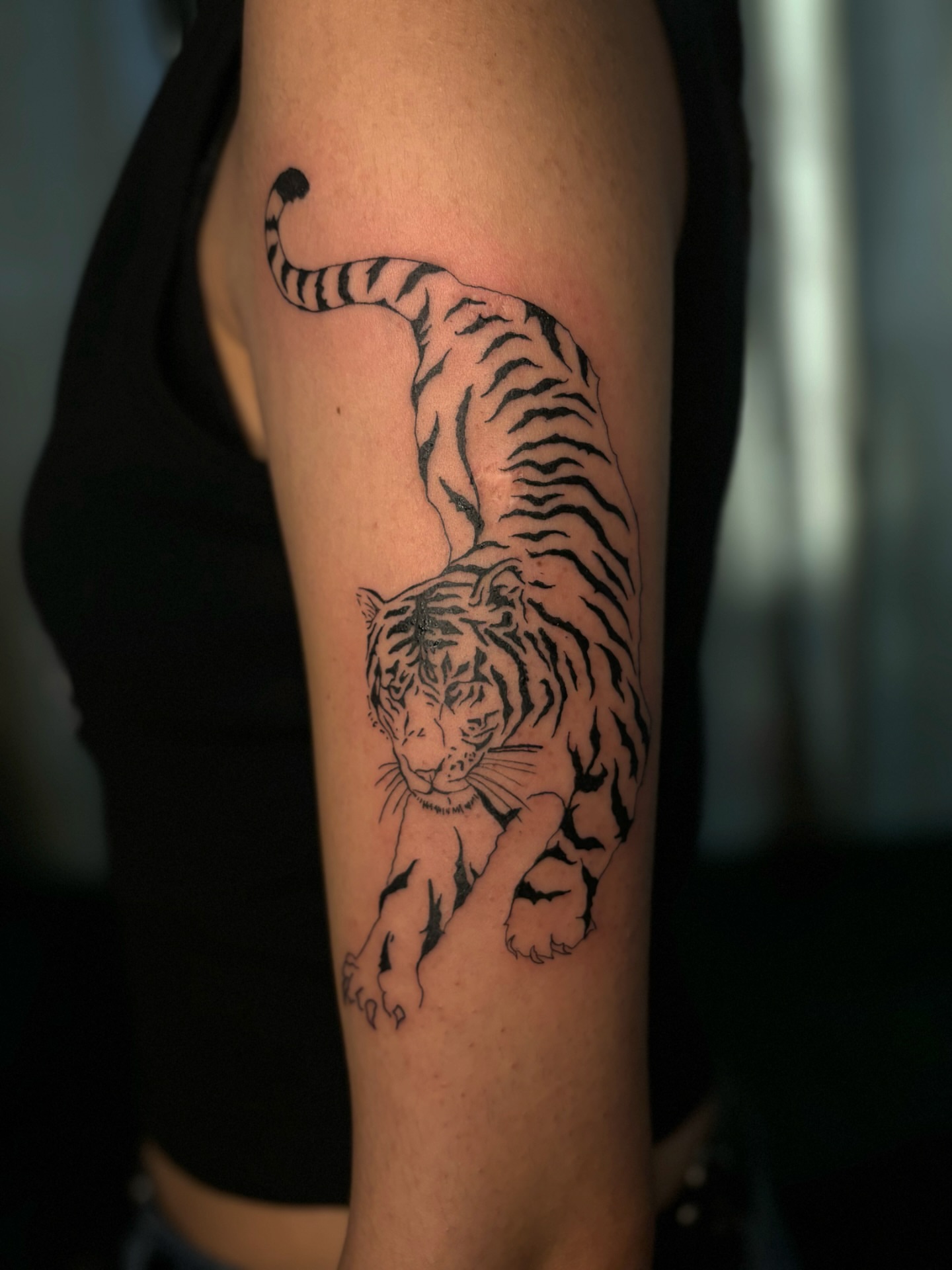 Tiger black and grey tattoo on the forearm by the ink witch ๐ฎ๐ค๐