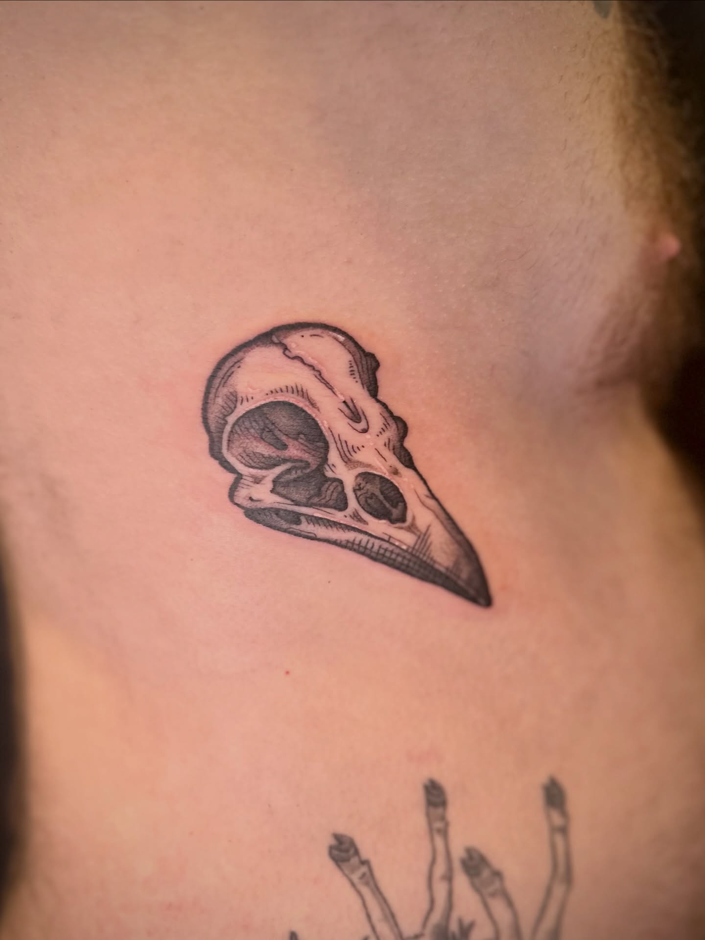 Bird skull black and grey tattoo on the neck by Maddie Morrill