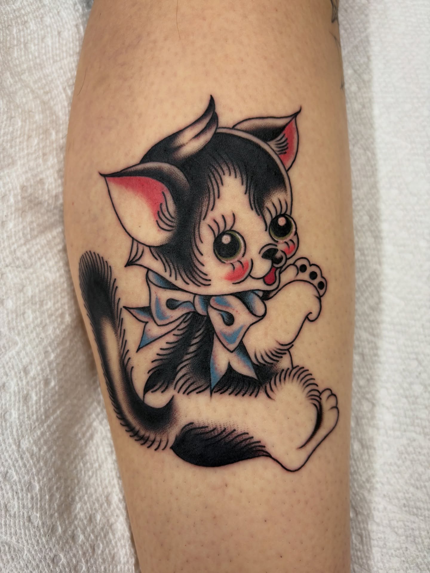 Kitten American traditional tattoo on the forearm by Nori