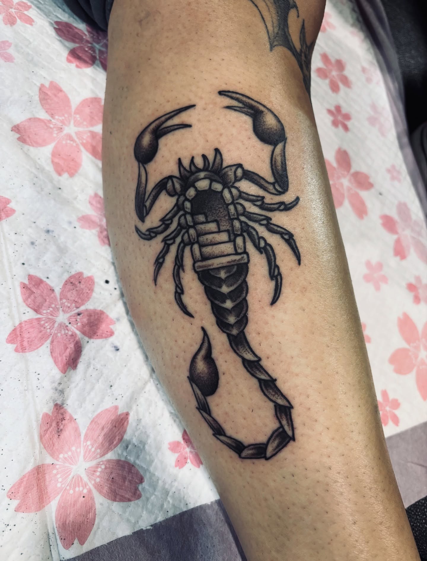 Scorpion black and grey tattoo on the forearm by π―πππππ