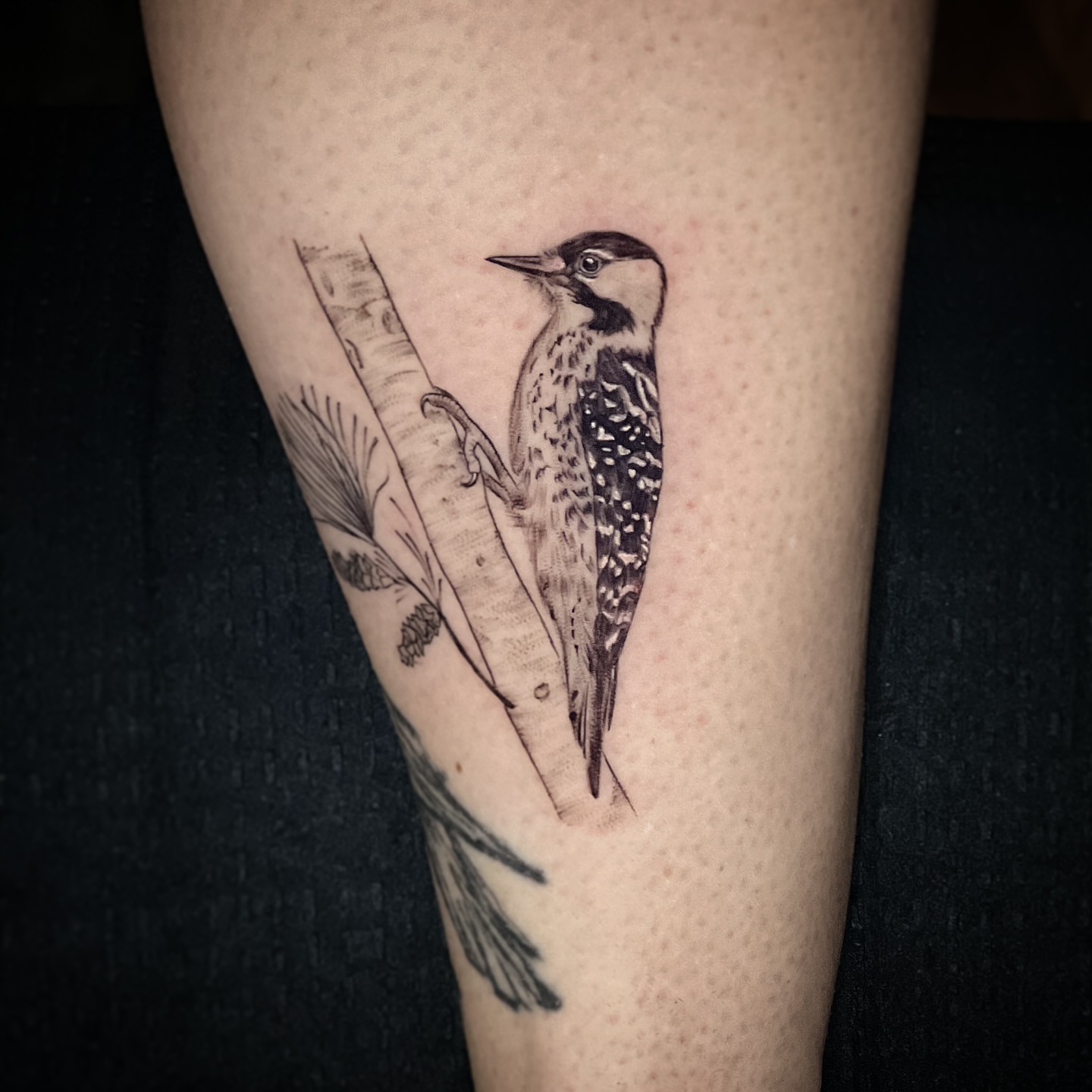 Woodpecker realism tattoo on the forearm by Jen Rahman