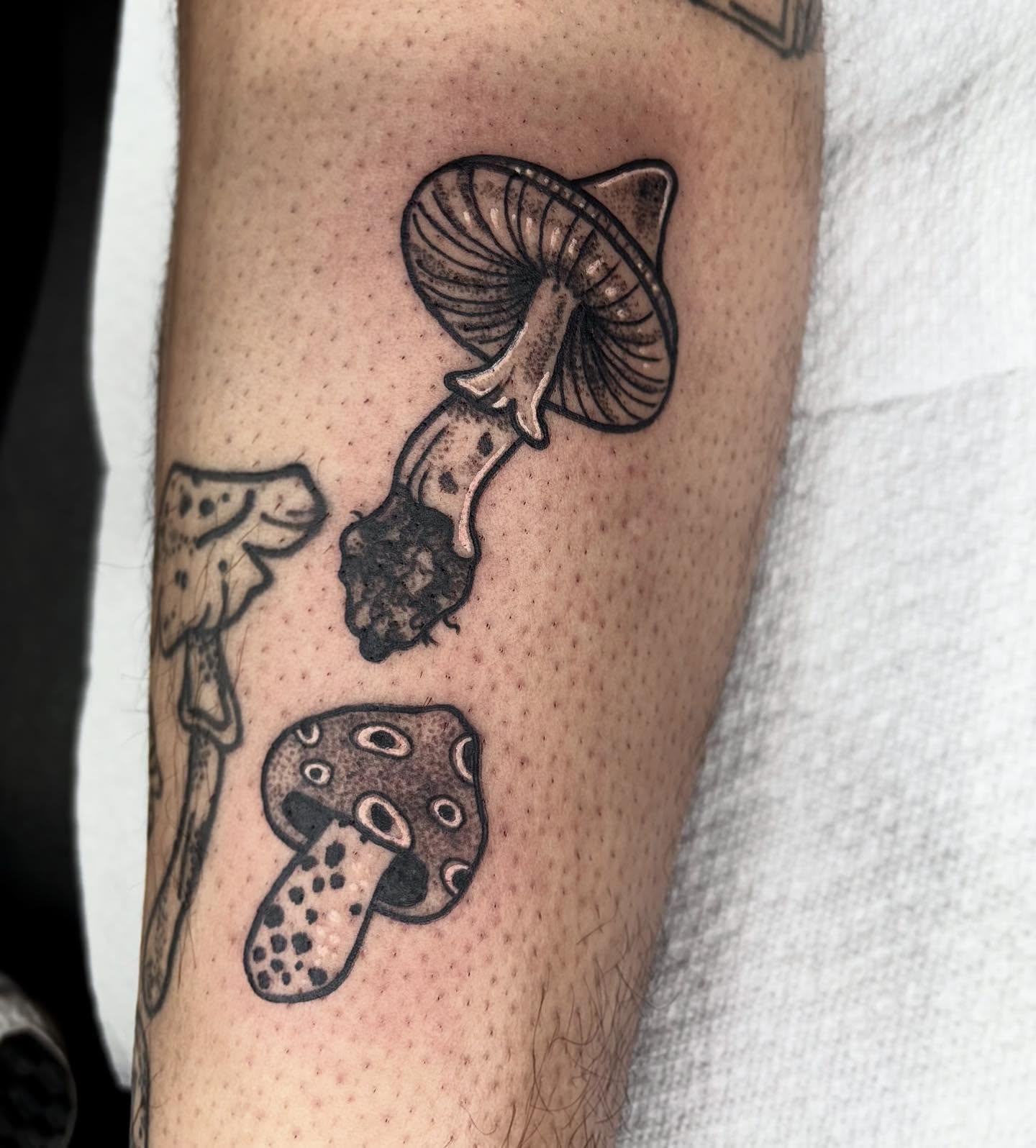 Mushrooms black and grey tattoo on the forearm by destiney rose