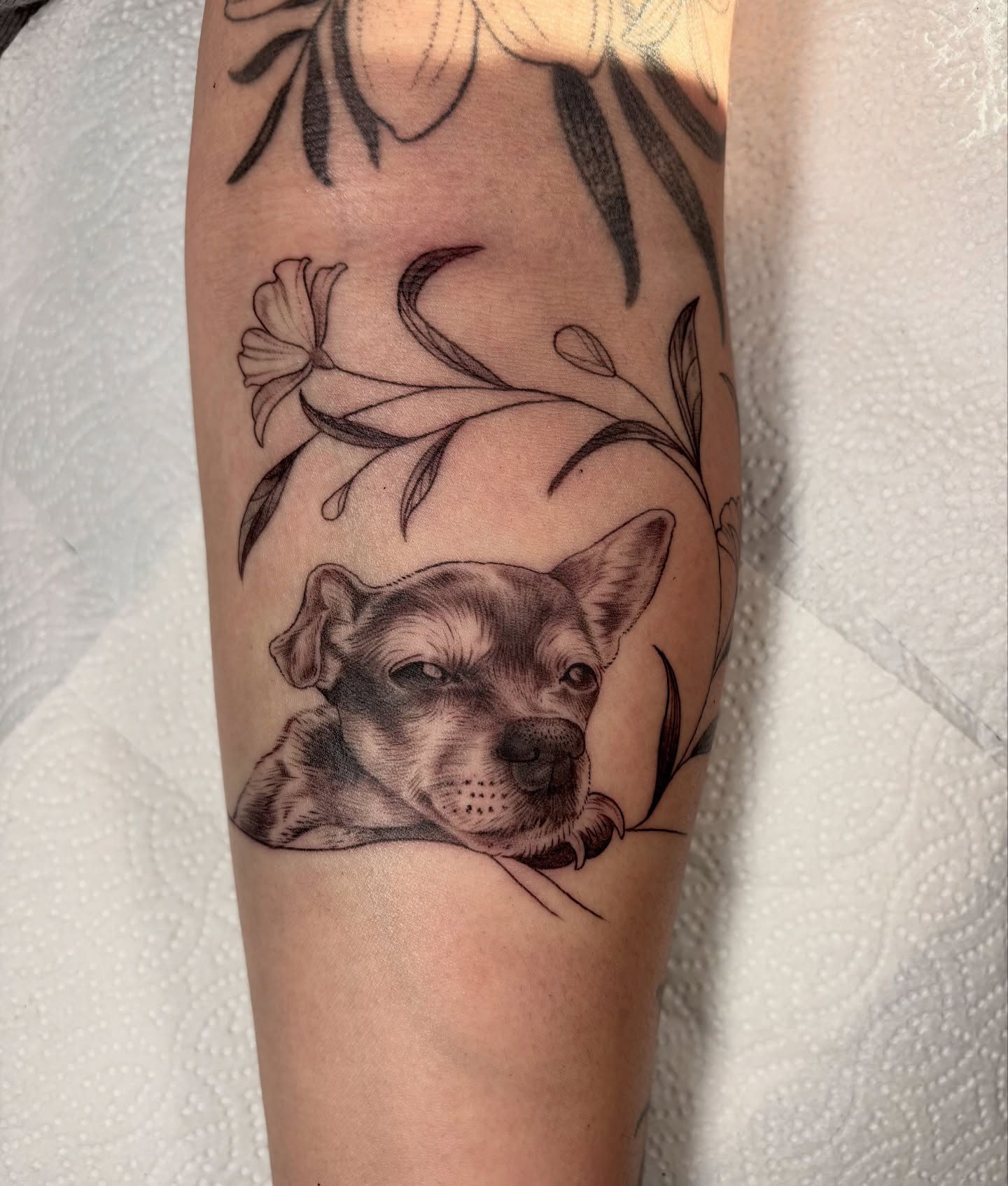 Dog realism tattoo on the forearm by Fineline tattoos by Kinsey