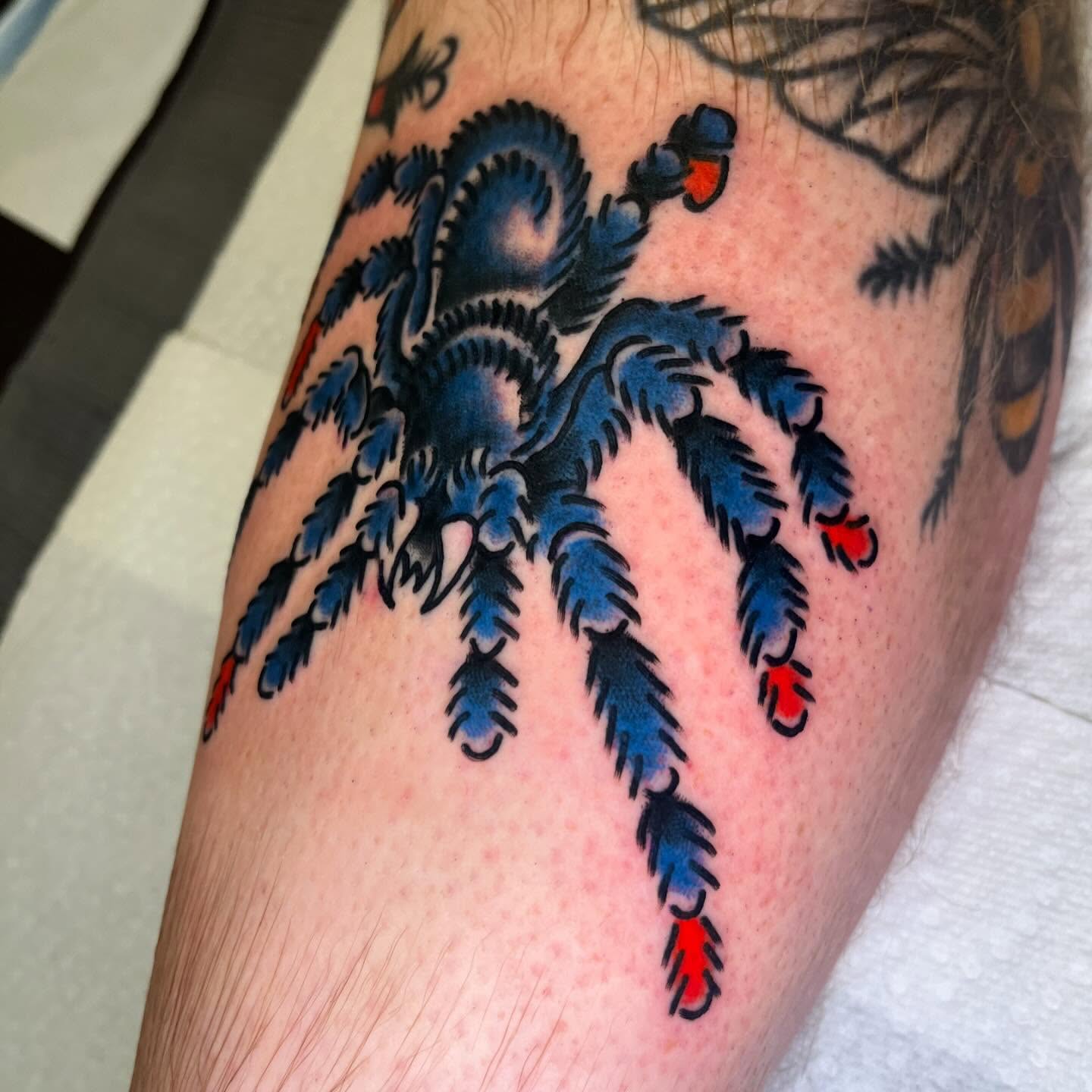 Tarantula American traditional tattoo on the forearm by CJ Ligocki - Ferndale Detroit Michigan Tattoo, Ferndale, Michigan