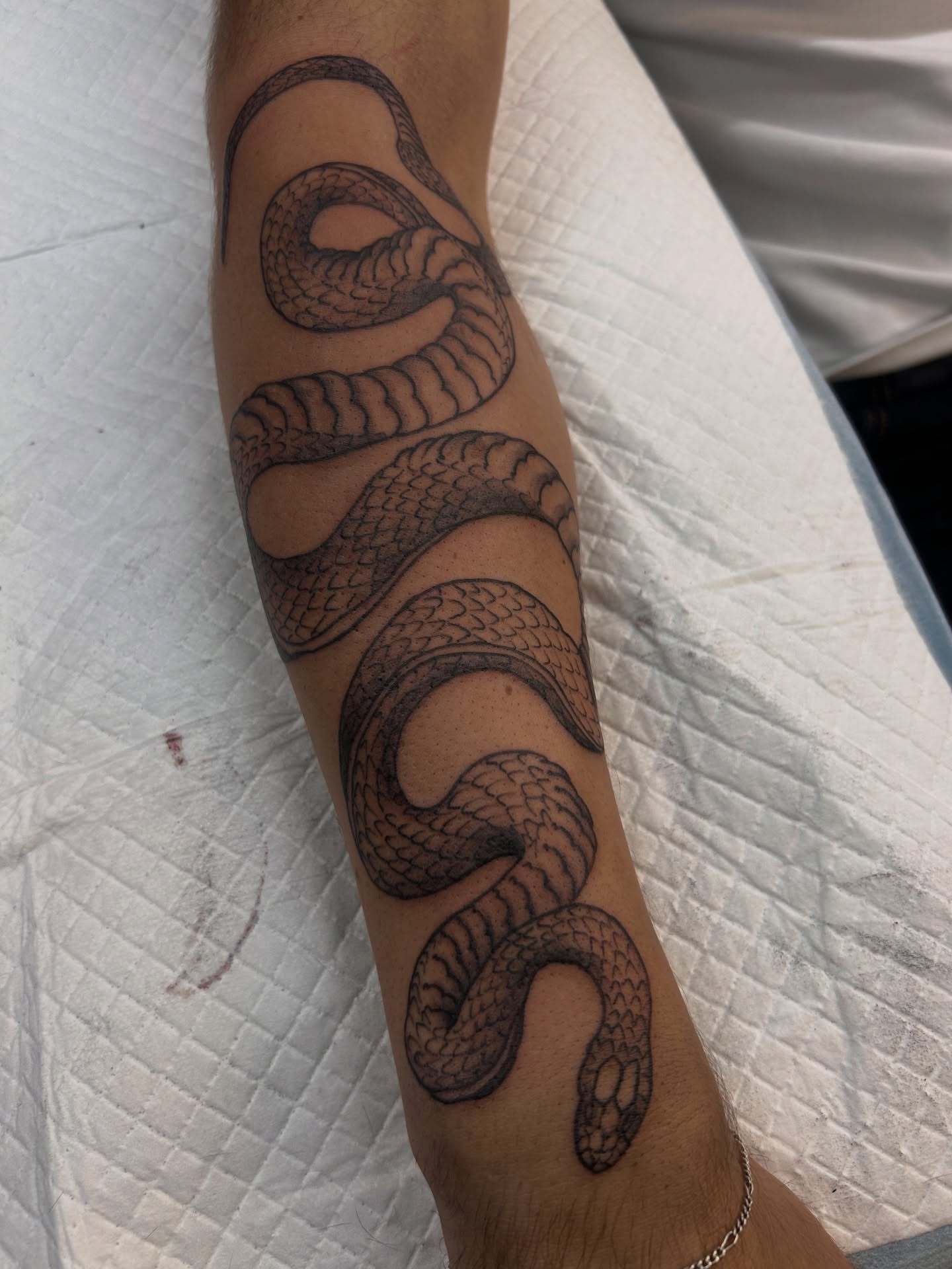 Snake black and grey tattoo on the forearm by Amara Lyons, Matakana, New Zealand