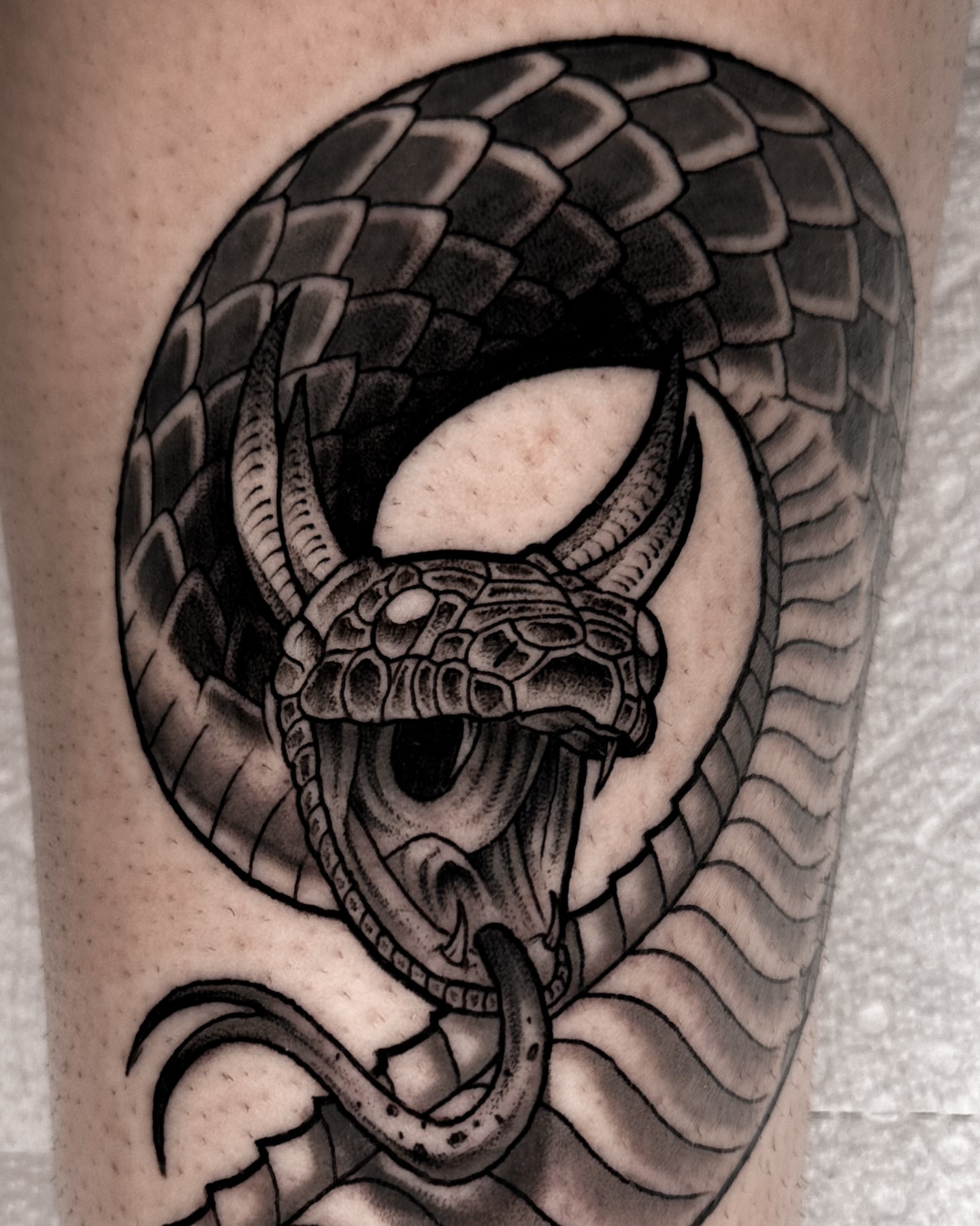 Snake realism tattoo on the forearm by Taylin Johnson- Illustrative Blackwork, Columbus, Ohio