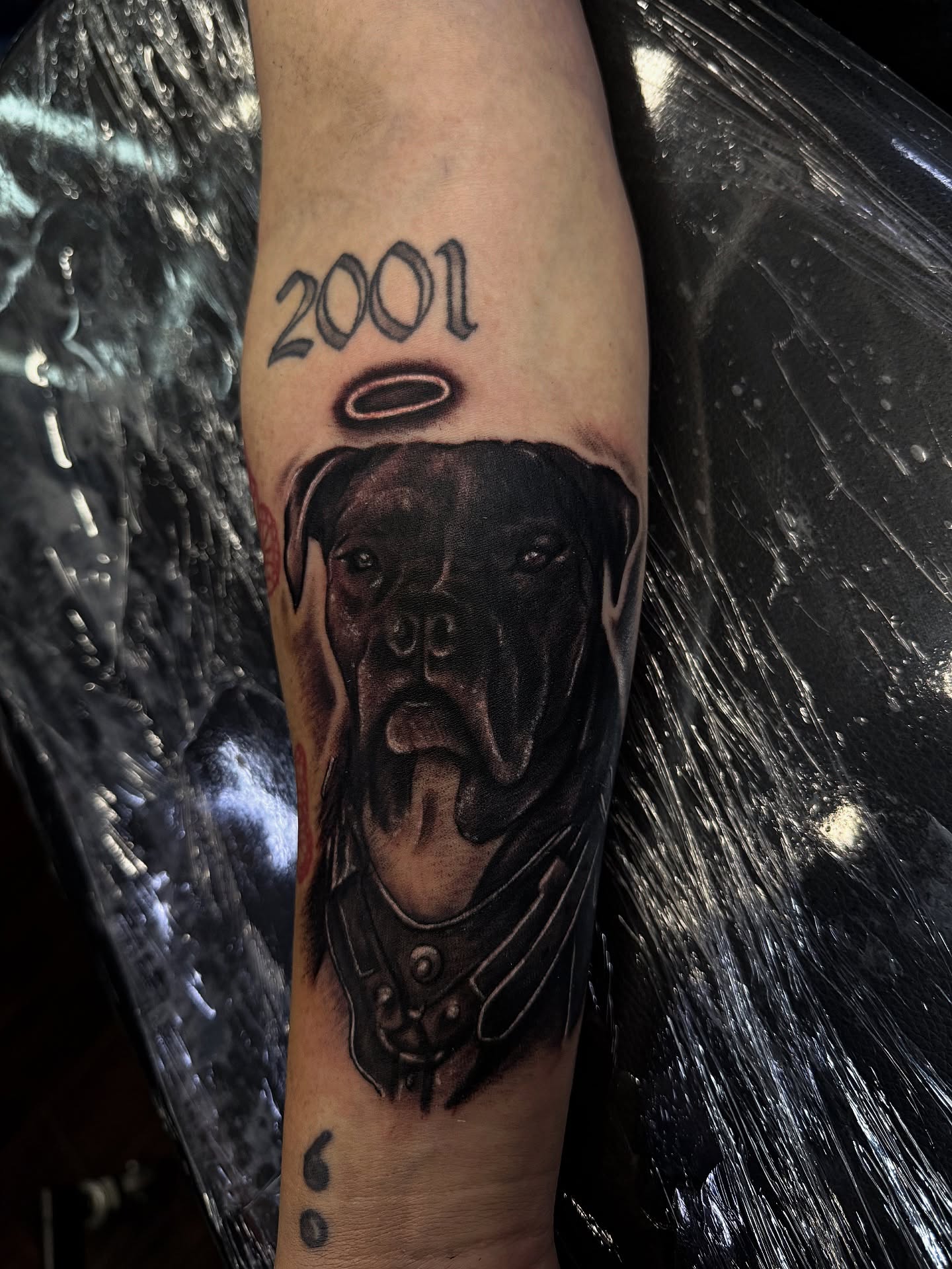Dog portrait realism tattoo on the forearm by @samg_tat2s, San Diego, California