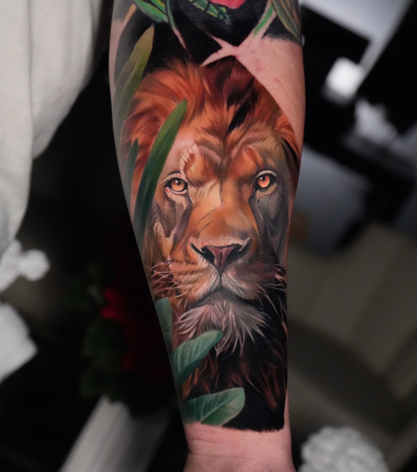 Lion realism tattoo on the forearm by Robert Morton, Cleveland, Ohio