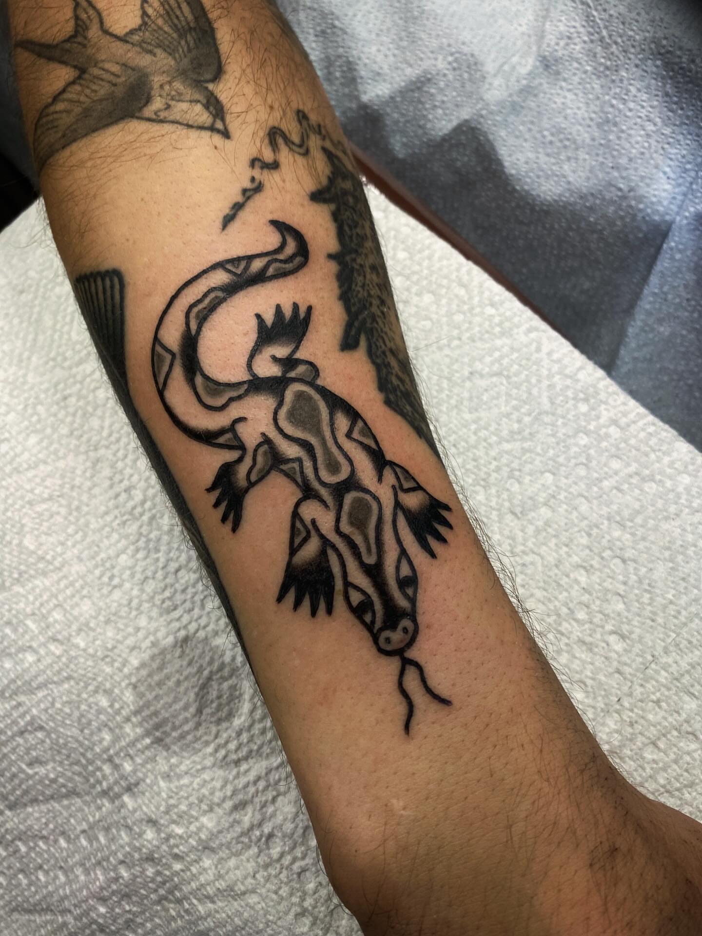 Lizard black and grey tattoo on the forearm by @rubber_band_dan, San Francisco, California