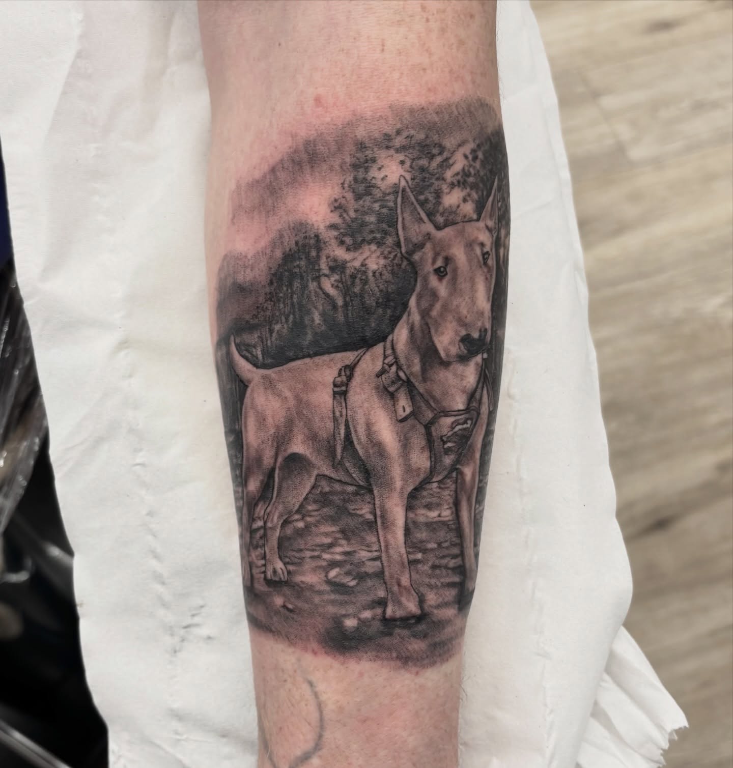 Dog realism tattoo on the forearm by Ruth Ormsby-Ashworth