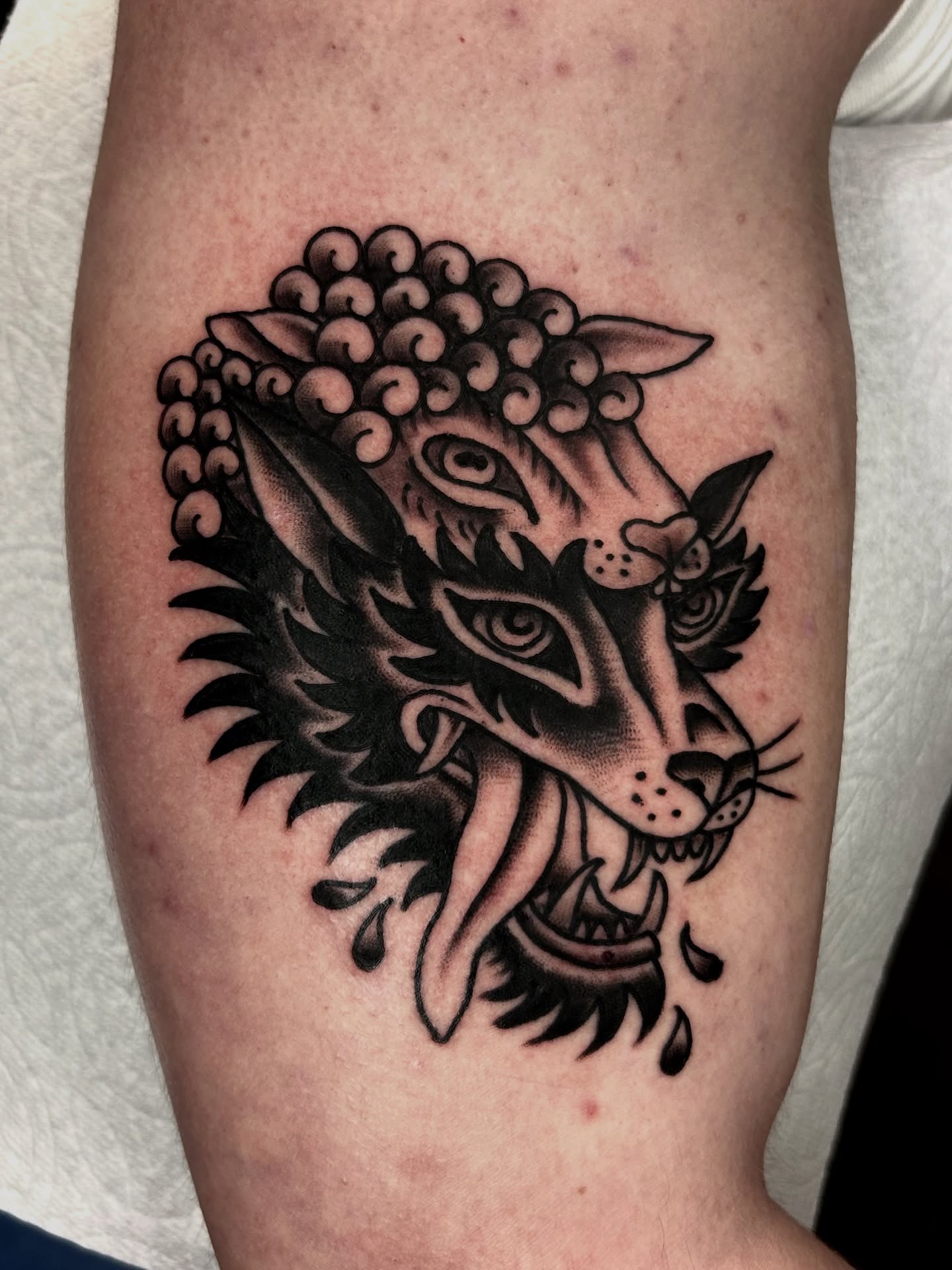 Sheep black and grey tattoo on the forearm by β π€ππ©π¦π©π’π β± β