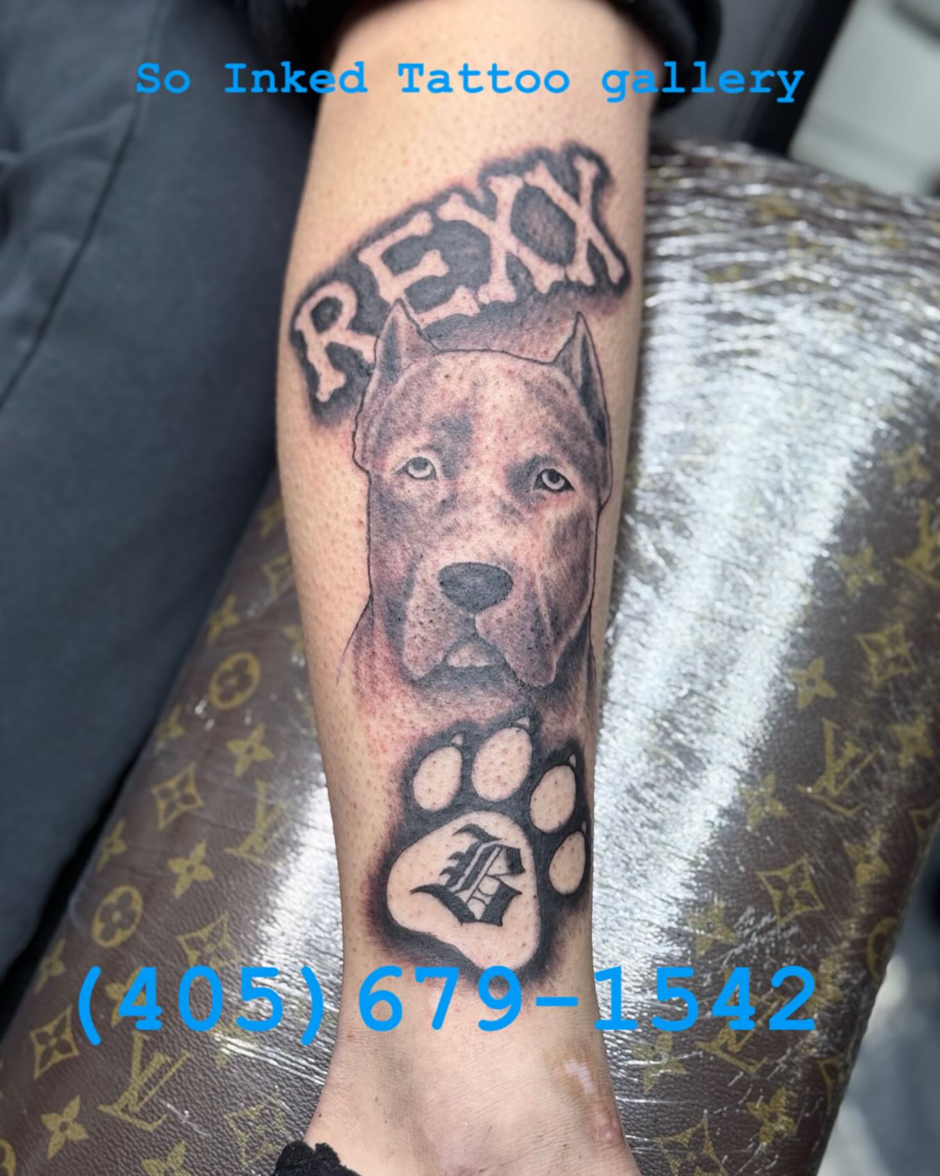 Pit bull realism tattoo on the forearm by Germaine Sherman