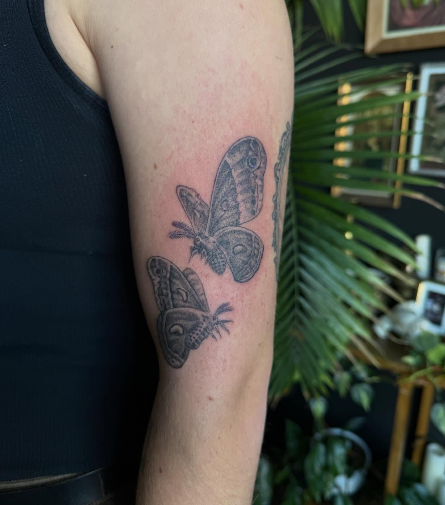 Moths black and grey tattoo on the forearm by Cort Prescott 🕸 OKC Tattoo Artist, Oklahoma City, Oklahoma
