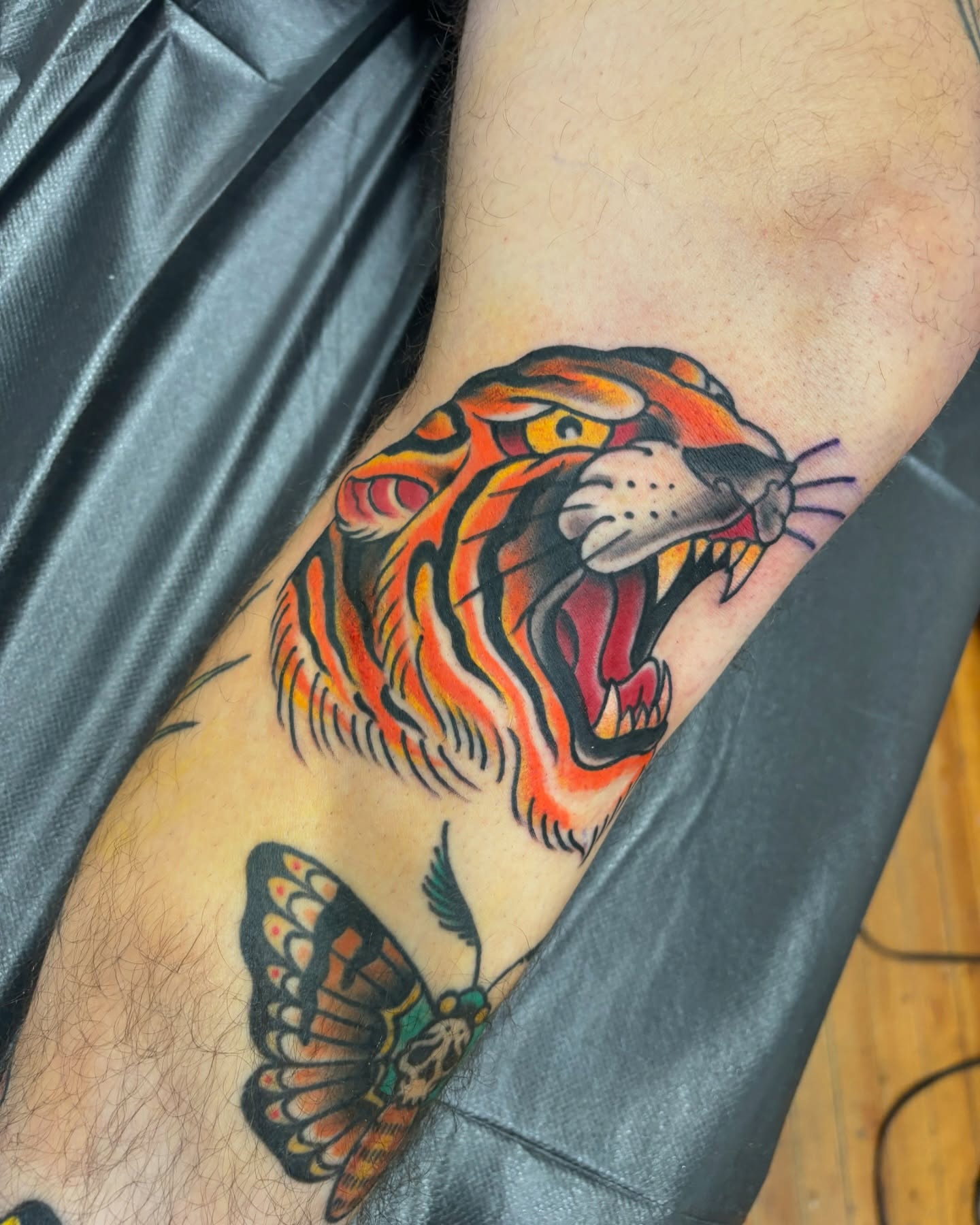 Tiger American traditional tattoo on the forearm by Cody Wallenius, Merrillville, Indiana
