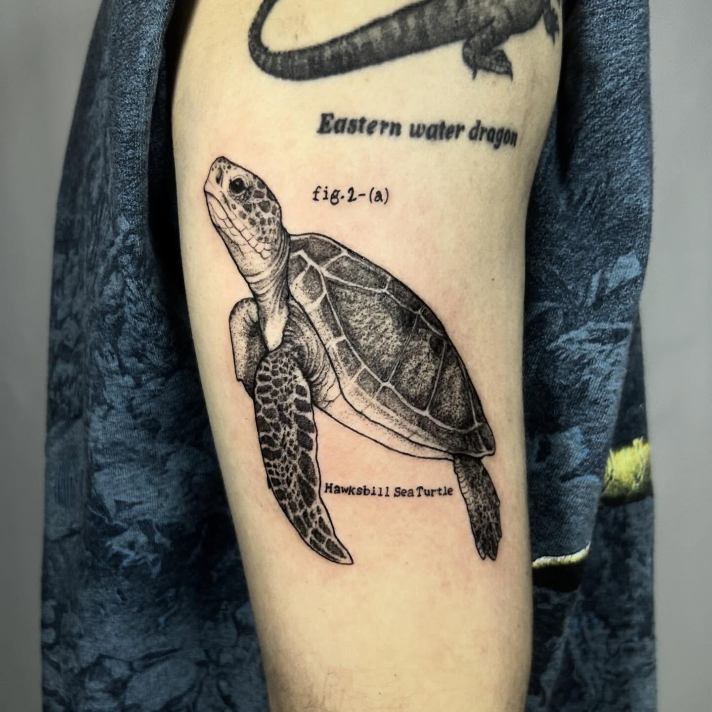 Hawksbill sea turtle dotwork tattoo on the forearm by Nikki Power